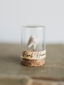 Jarred Human Tooth, SB71