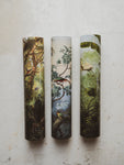 Assorted Tropical Match Tube, HD425