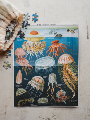 Jellyfish Puzzle, HD264