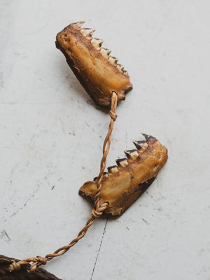 Waorani Tribal Poison Dart Quiver w/ 3 Piranha Jaws, HD608