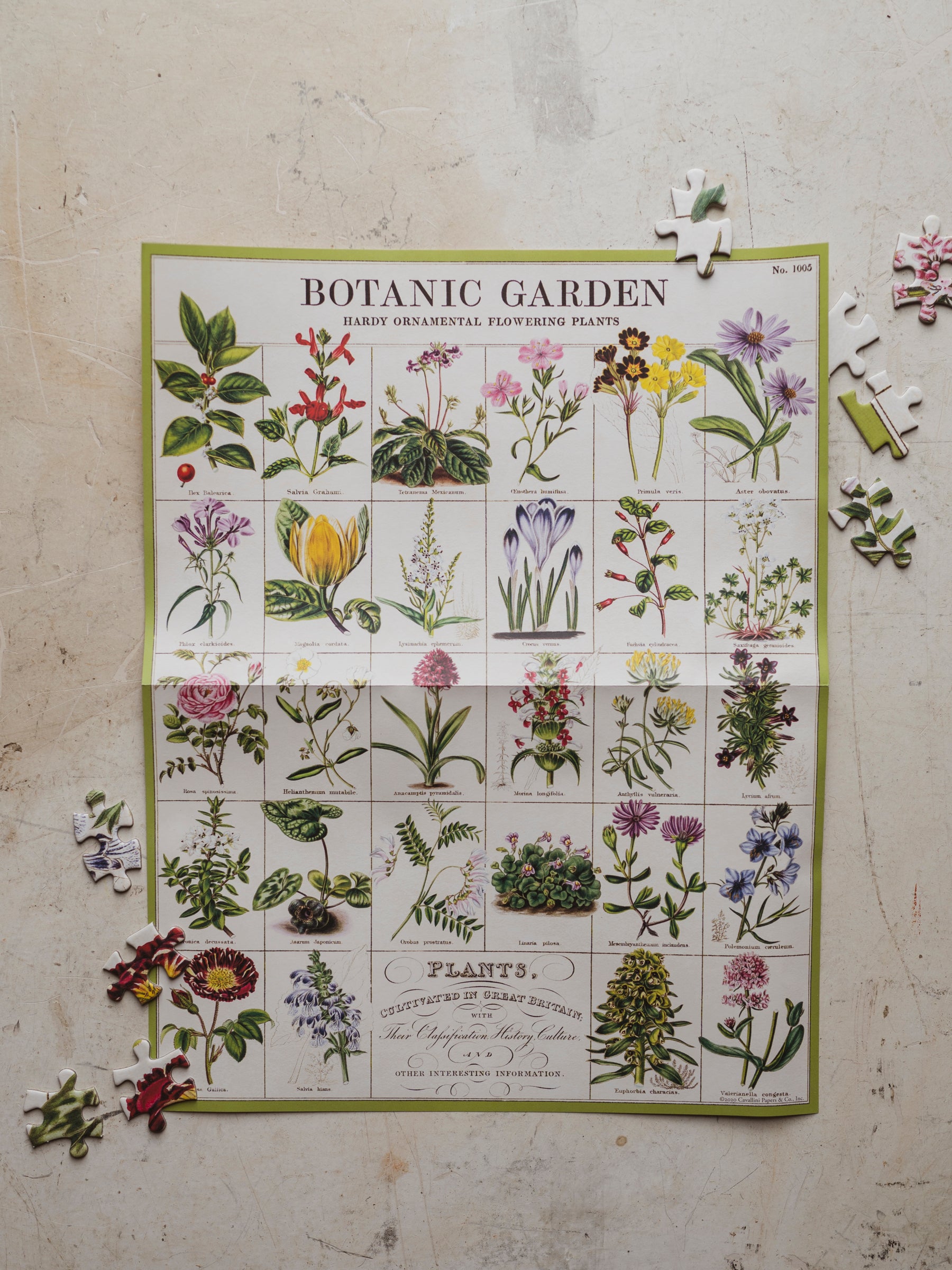 Botanic Garden Puzzle, HD530