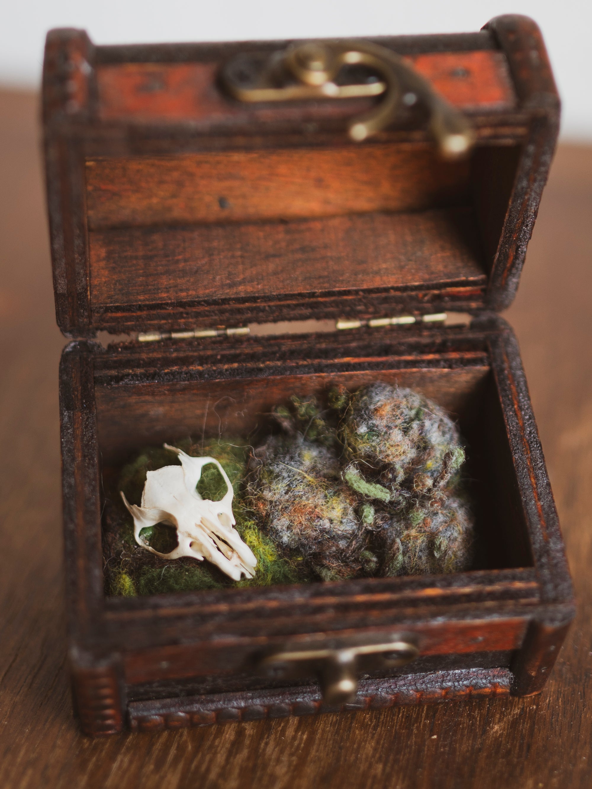 Medium Handmade Felt Mouse Skull in Treasure Chest, CO043