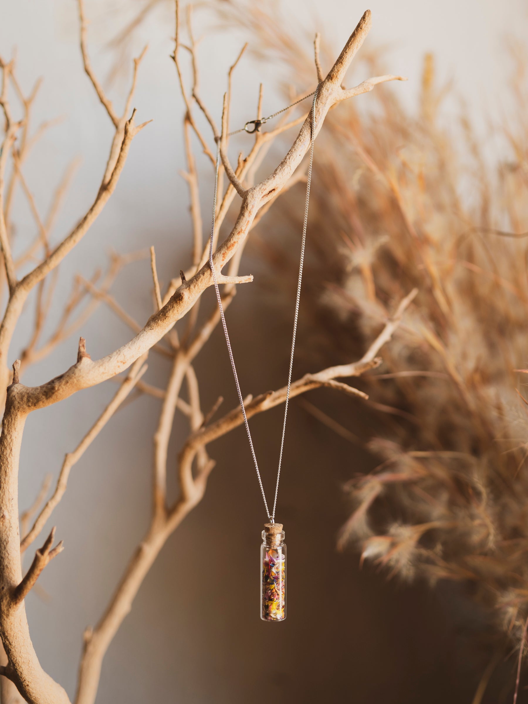 Assorted Natural History Jar Necklace, CA644