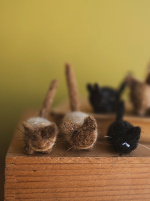 Hand Felted Tater Tot Cat, CO33