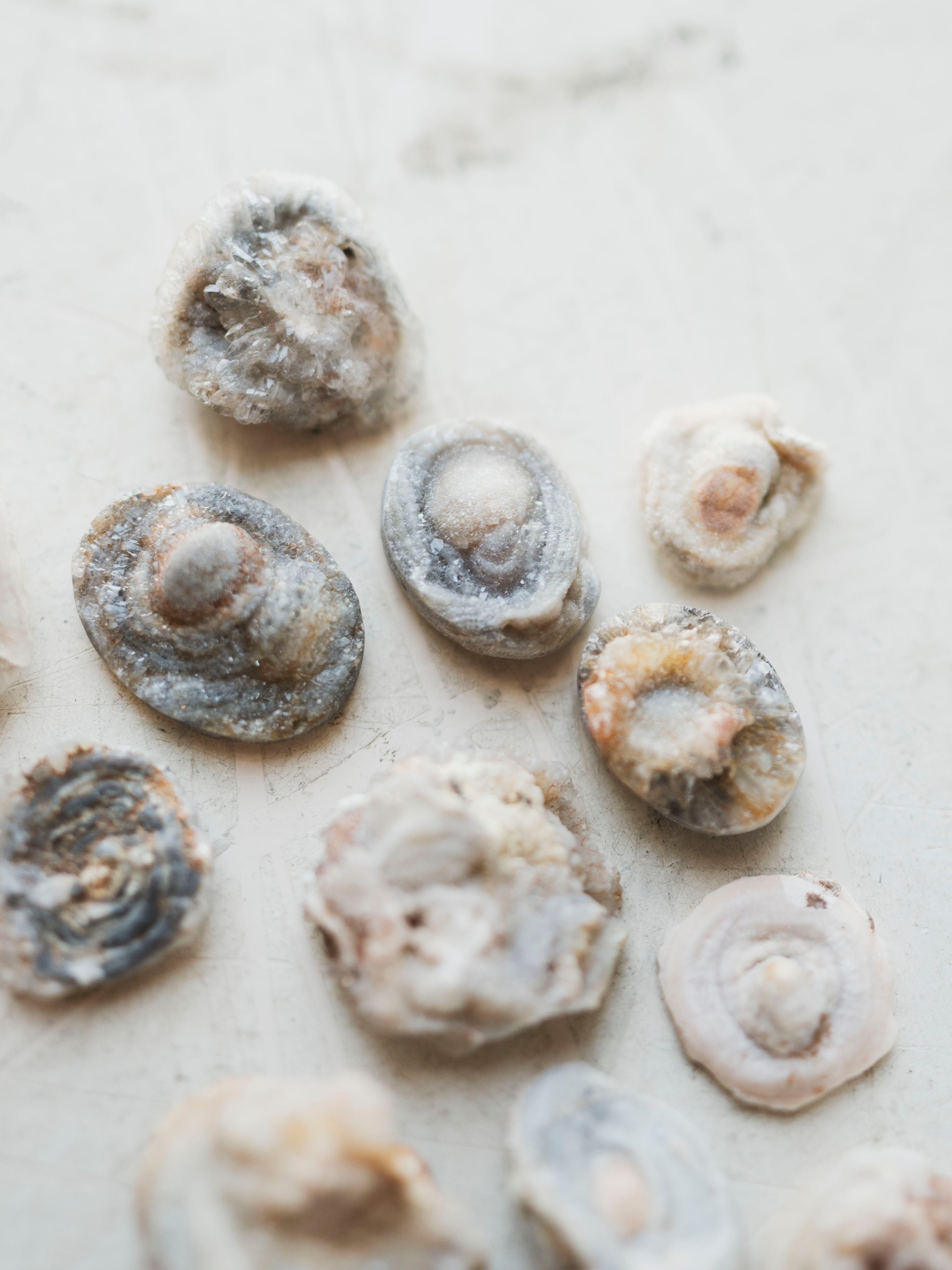 Assorted Chalcedony Rose, RM155 – Black Moth