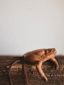 Half Body Cane Toad Zip Pouch, PS269