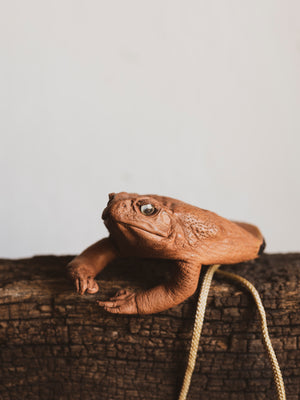 Half Body Cane Toad Zip Pouch, PS269