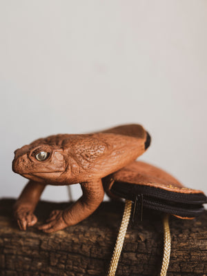 Half Body Cane Toad Zip Pouch, PS269