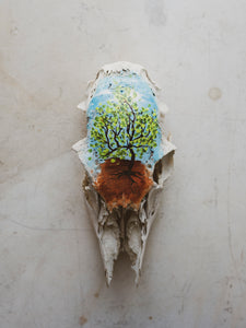Hand-Painted Oklahoma Native: Tree of Life Deer Skull Top, SB780