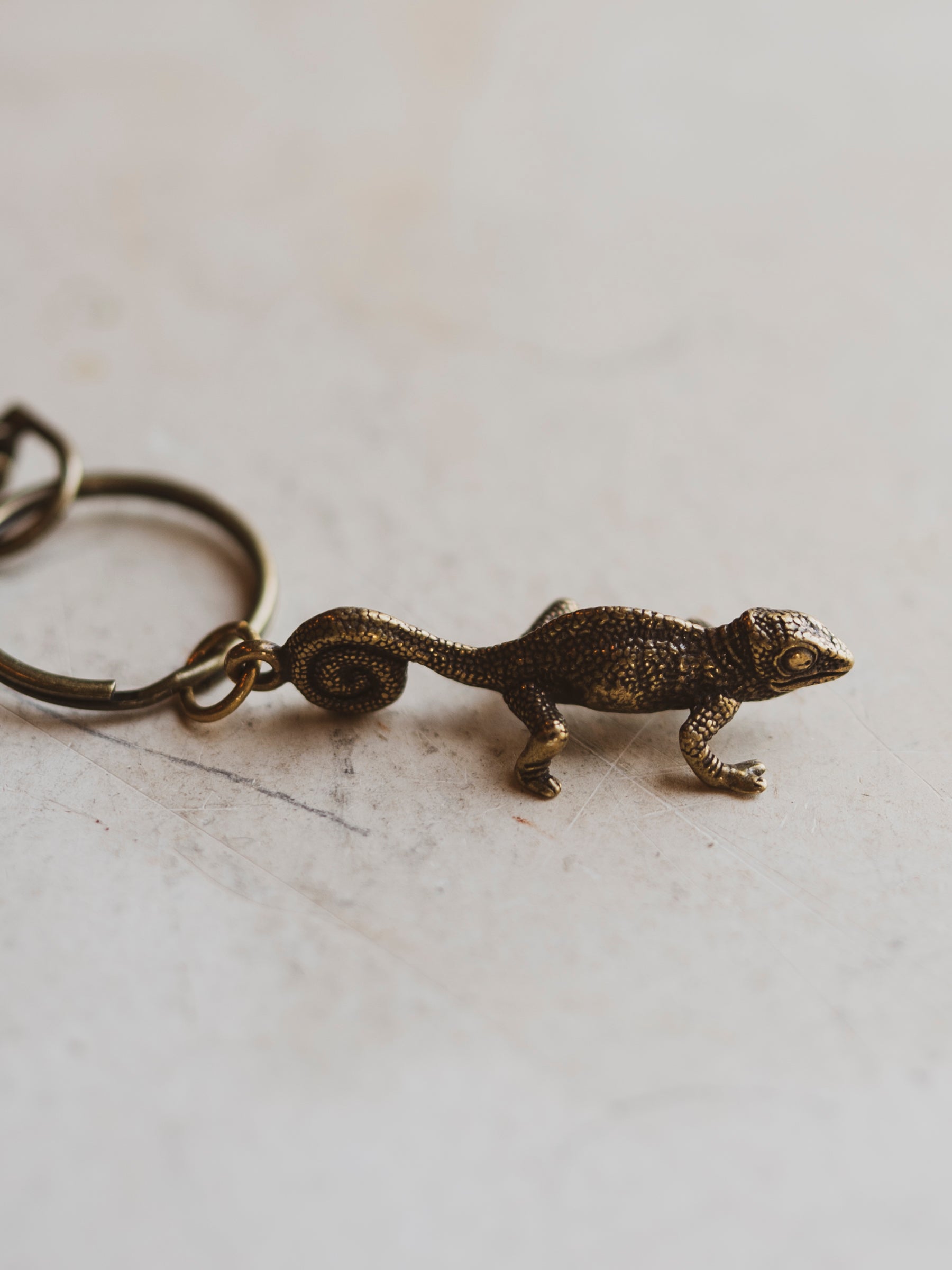 Brass Chameleon Keychain, CA941