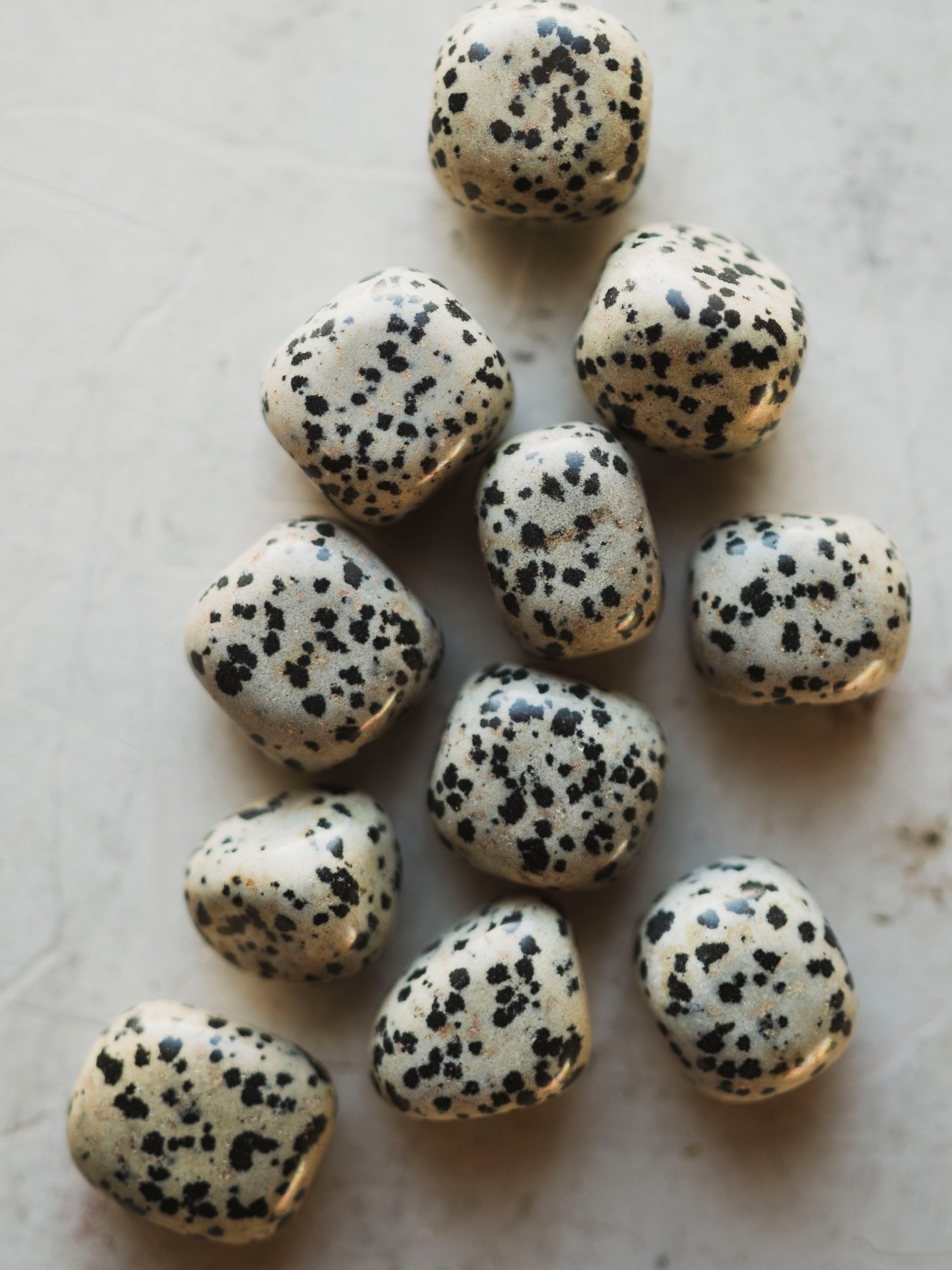 .5-1.5" Polished Dalmation Jasper Stone, RM1623