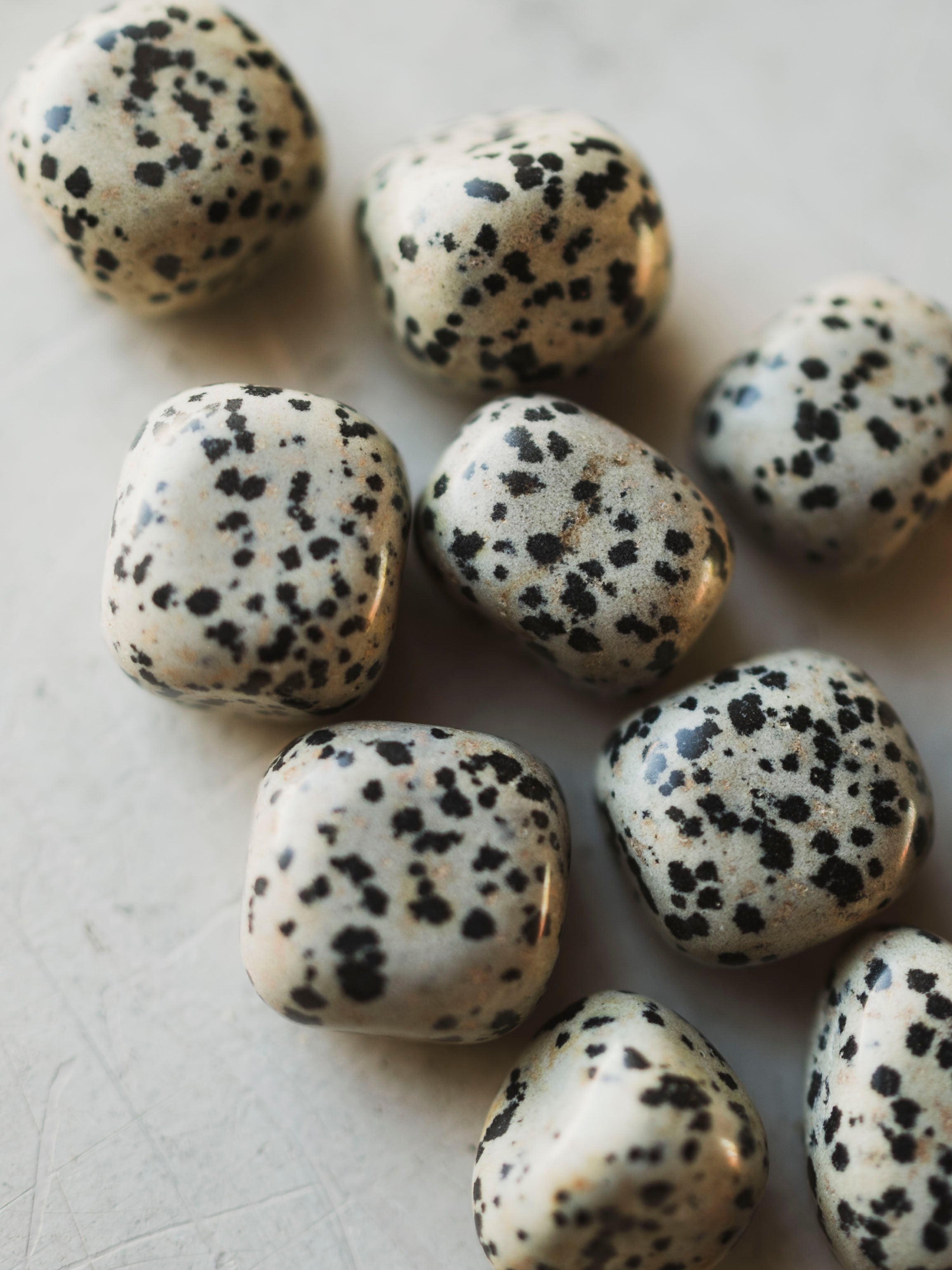 .5-1.5" Polished Dalmation Jasper Stone, RM1623