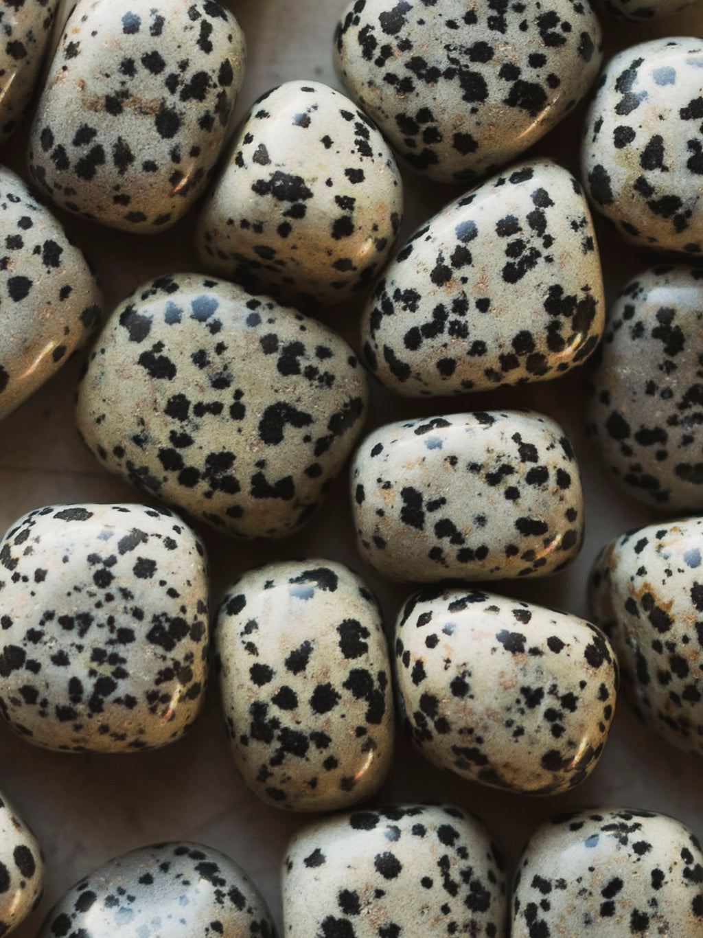 .5-1.5" Polished Dalmation Jasper Stone, RM1623