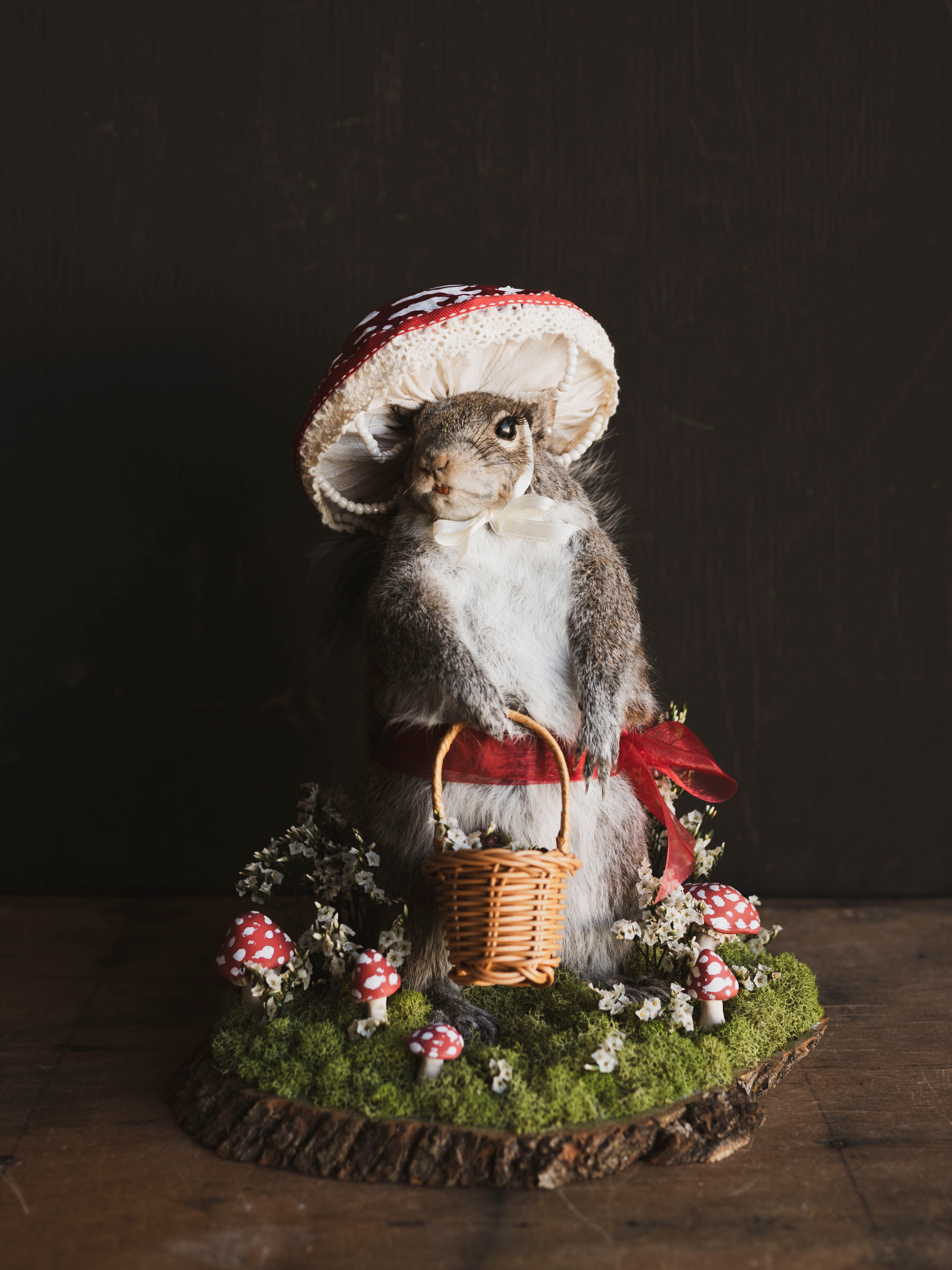 Mushroom Fairy Taxidermy Squirrel (Amanita), TA420