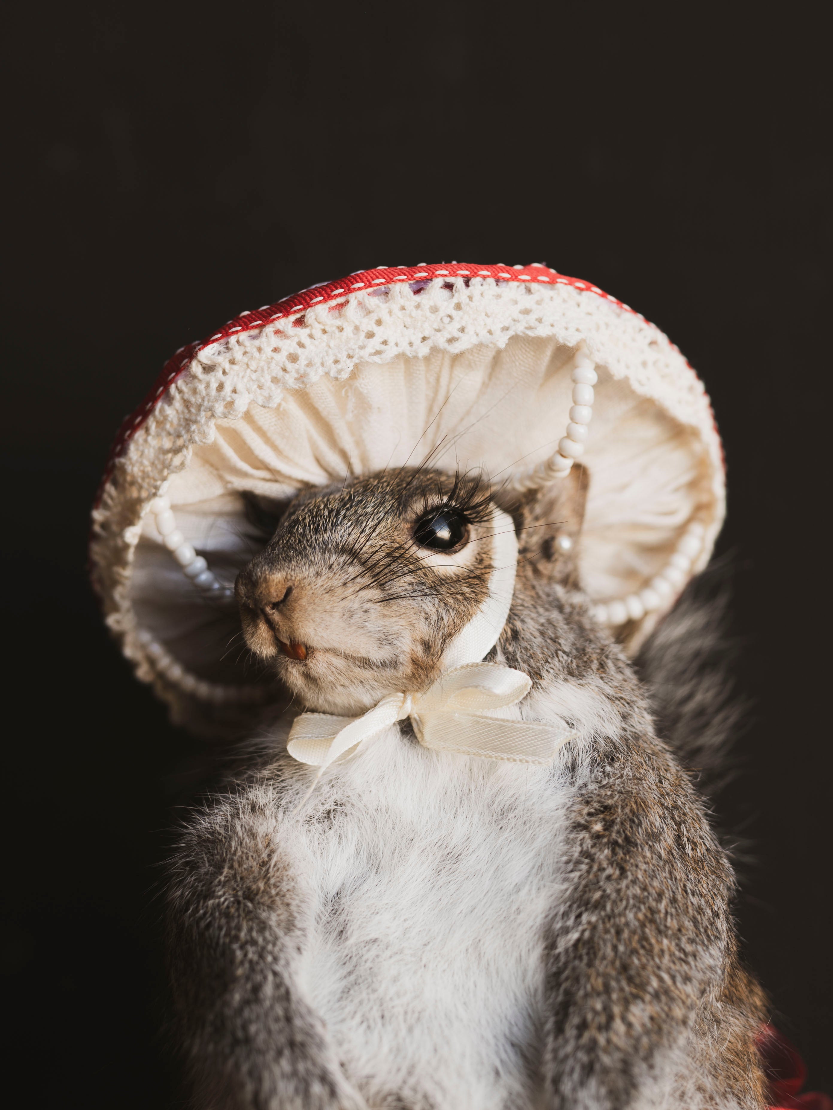 Mushroom Fairy Taxidermy Squirrel (Amanita), TA420