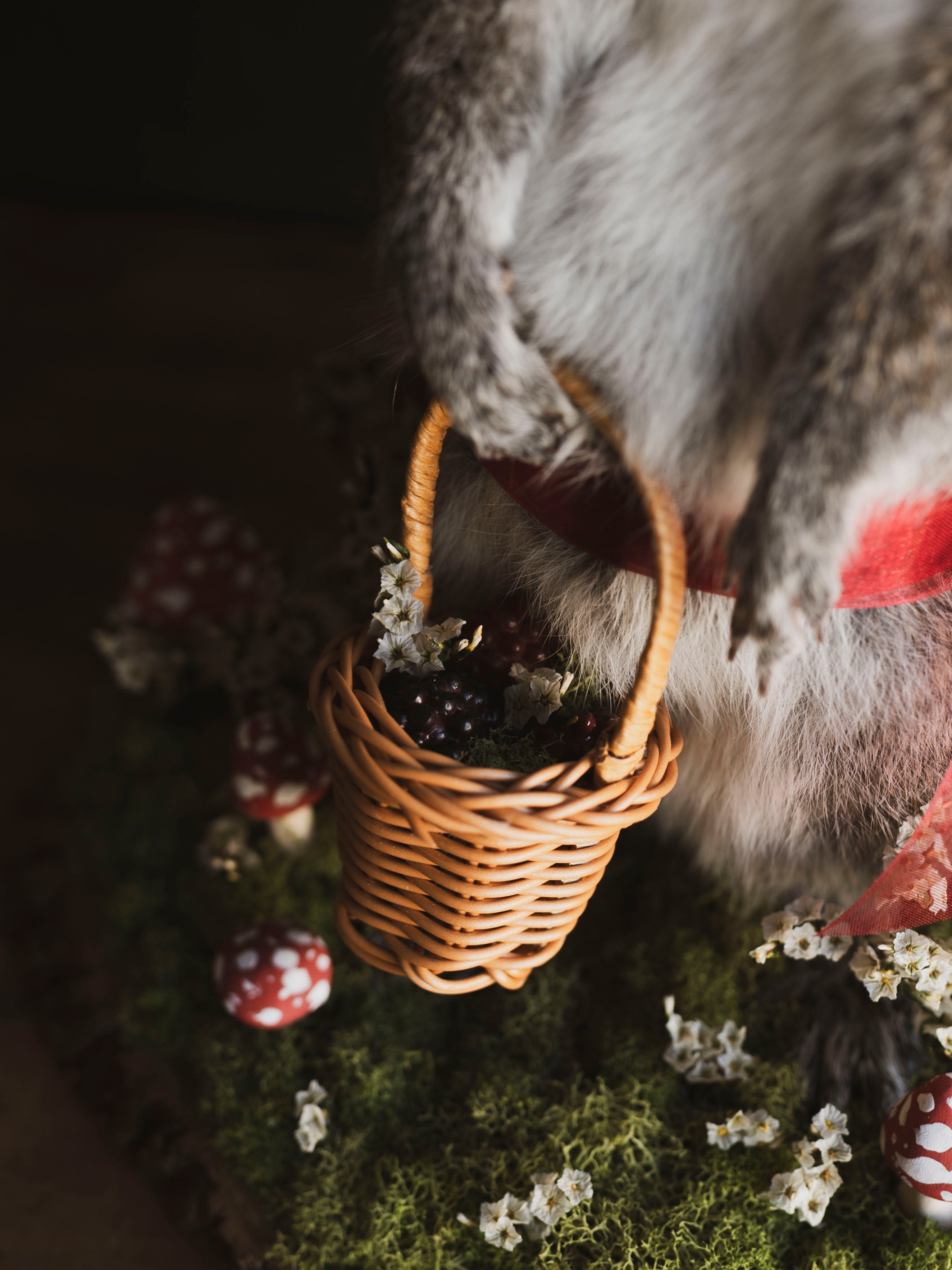 Mushroom Fairy Taxidermy Squirrel (Amanita), TA420