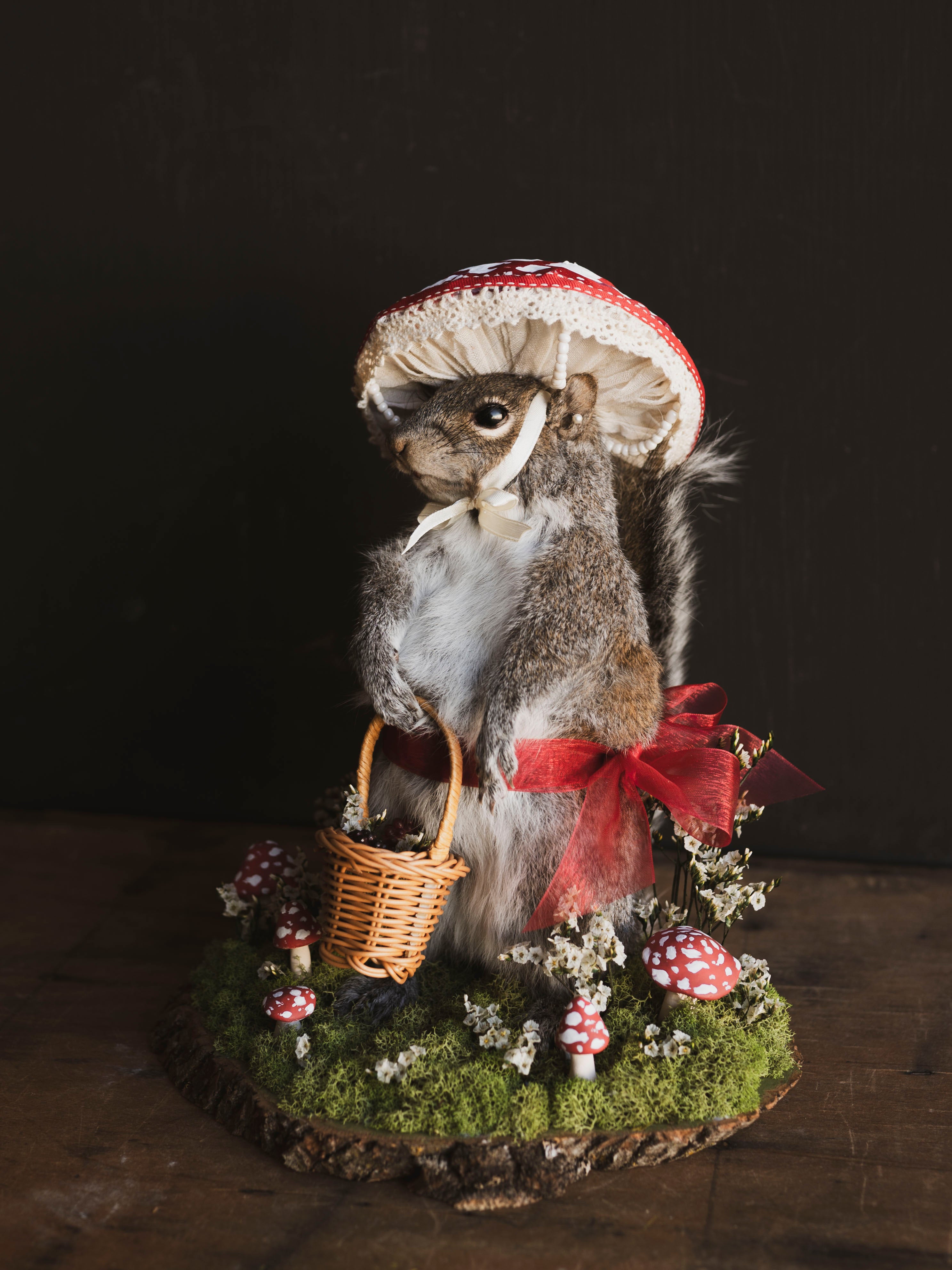 Mushroom Fairy Taxidermy Squirrel (Amanita), TA420