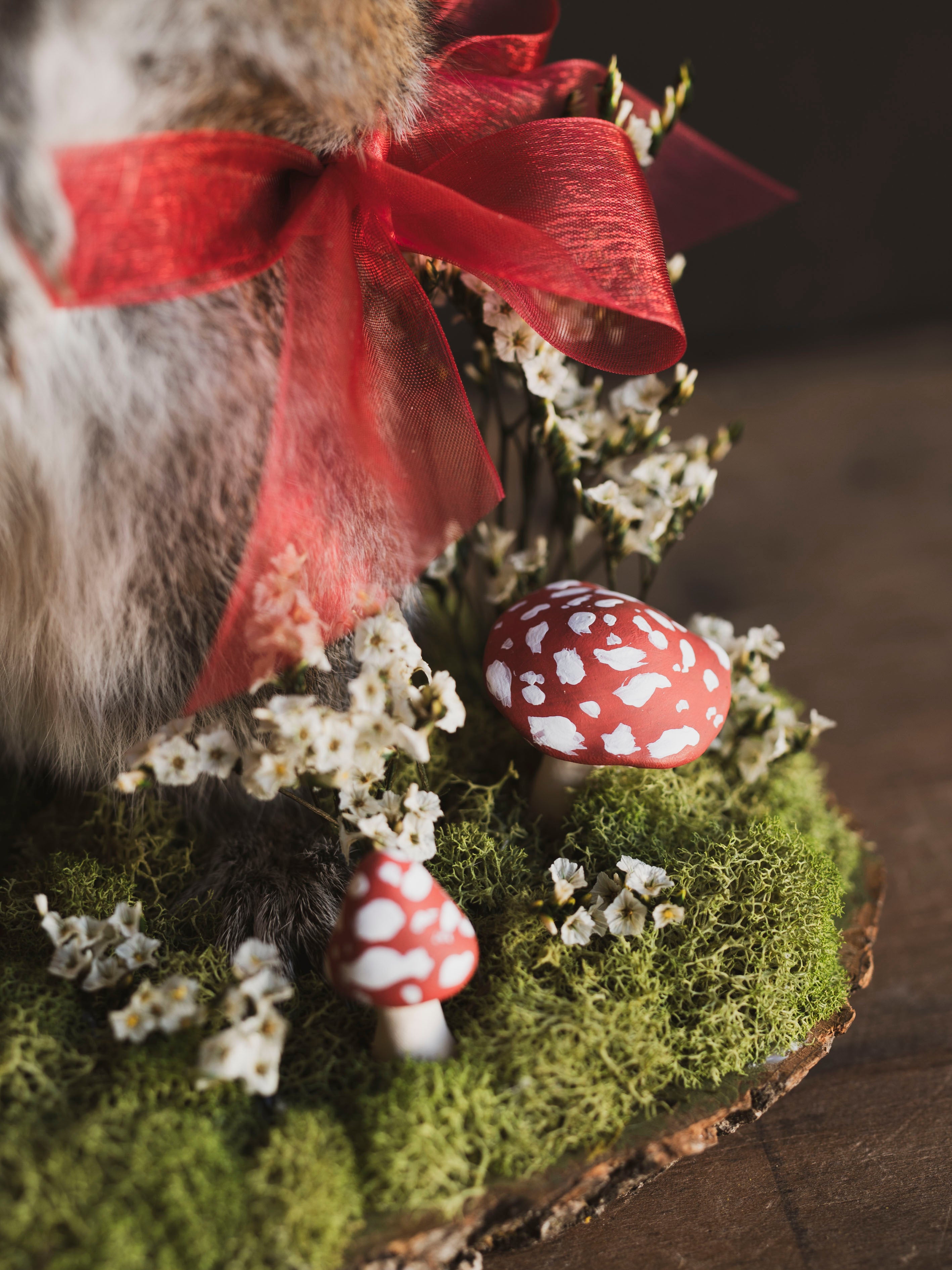 Mushroom Fairy Taxidermy Squirrel (Amanita), TA420