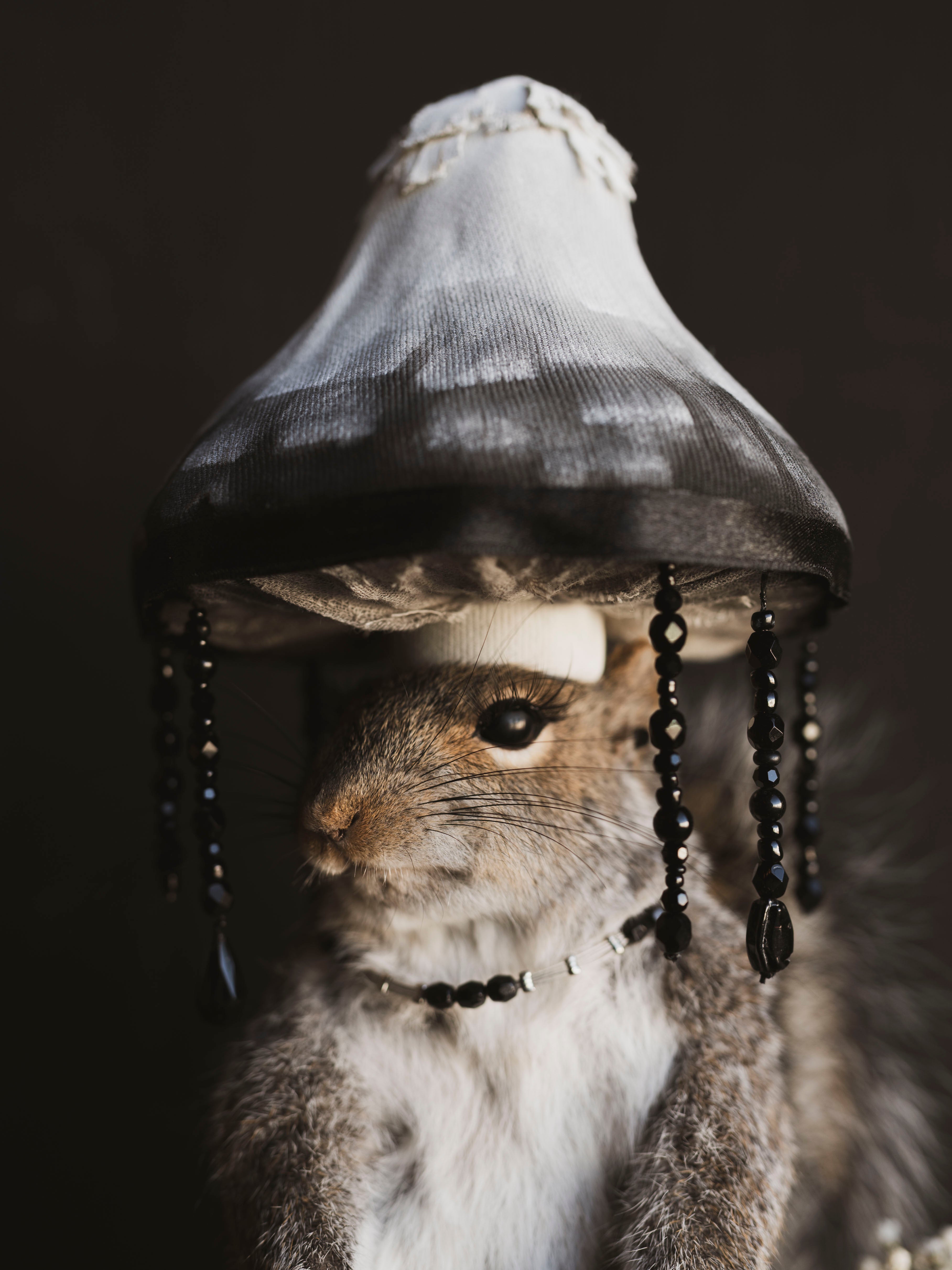 Mushroom Fairy Taxidermy Squirrel (Inka), TA421