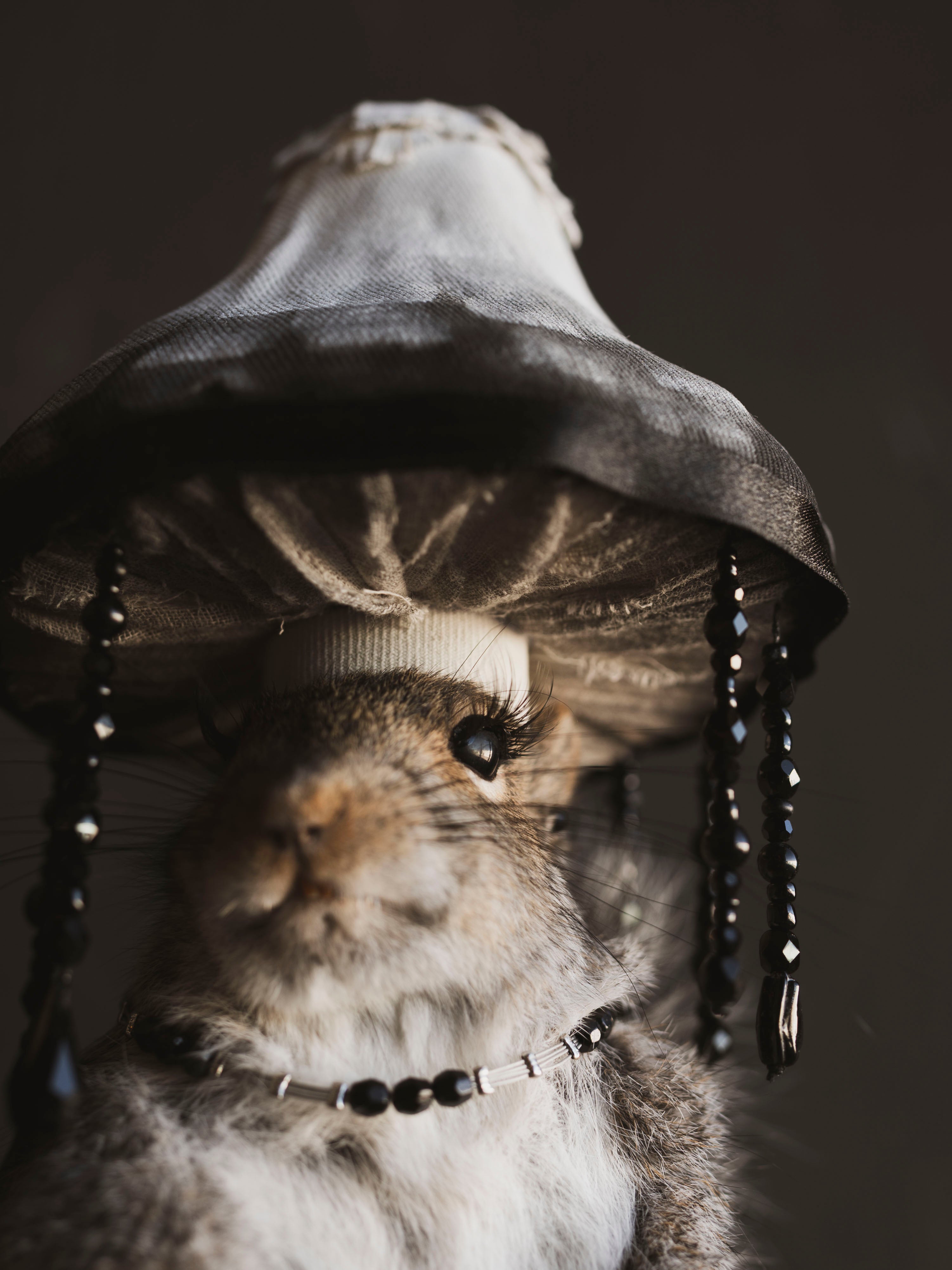 Mushroom Fairy Taxidermy Squirrel (Inka), TA421