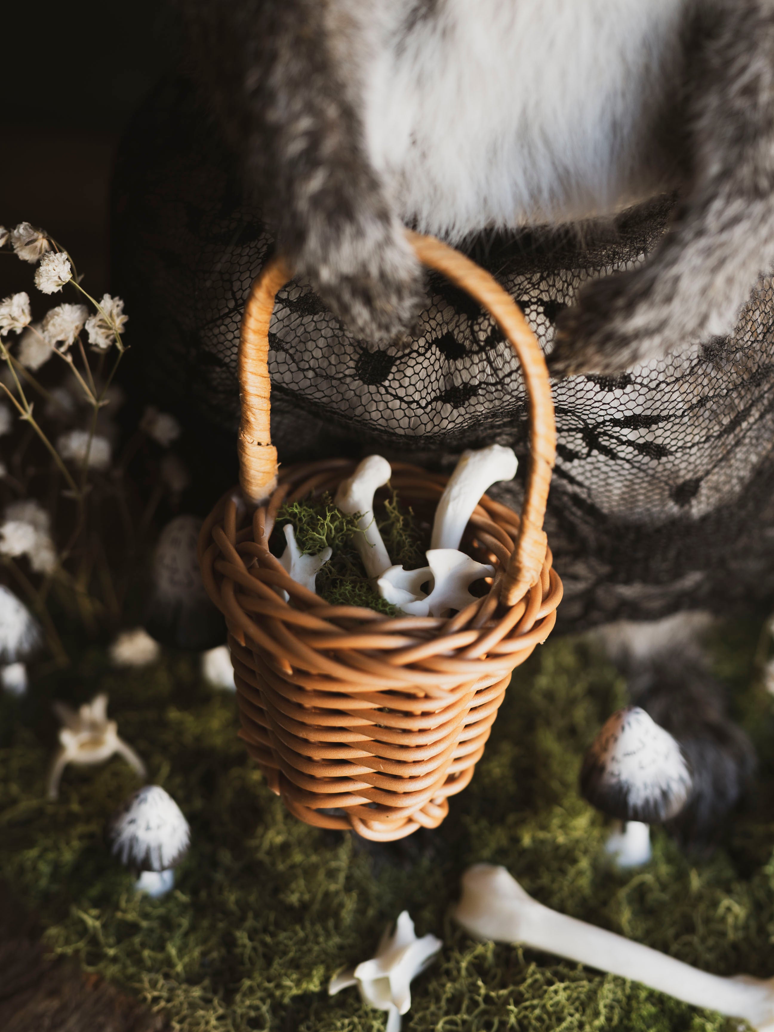 Mushroom Fairy Taxidermy Squirrel (Inka), TA421