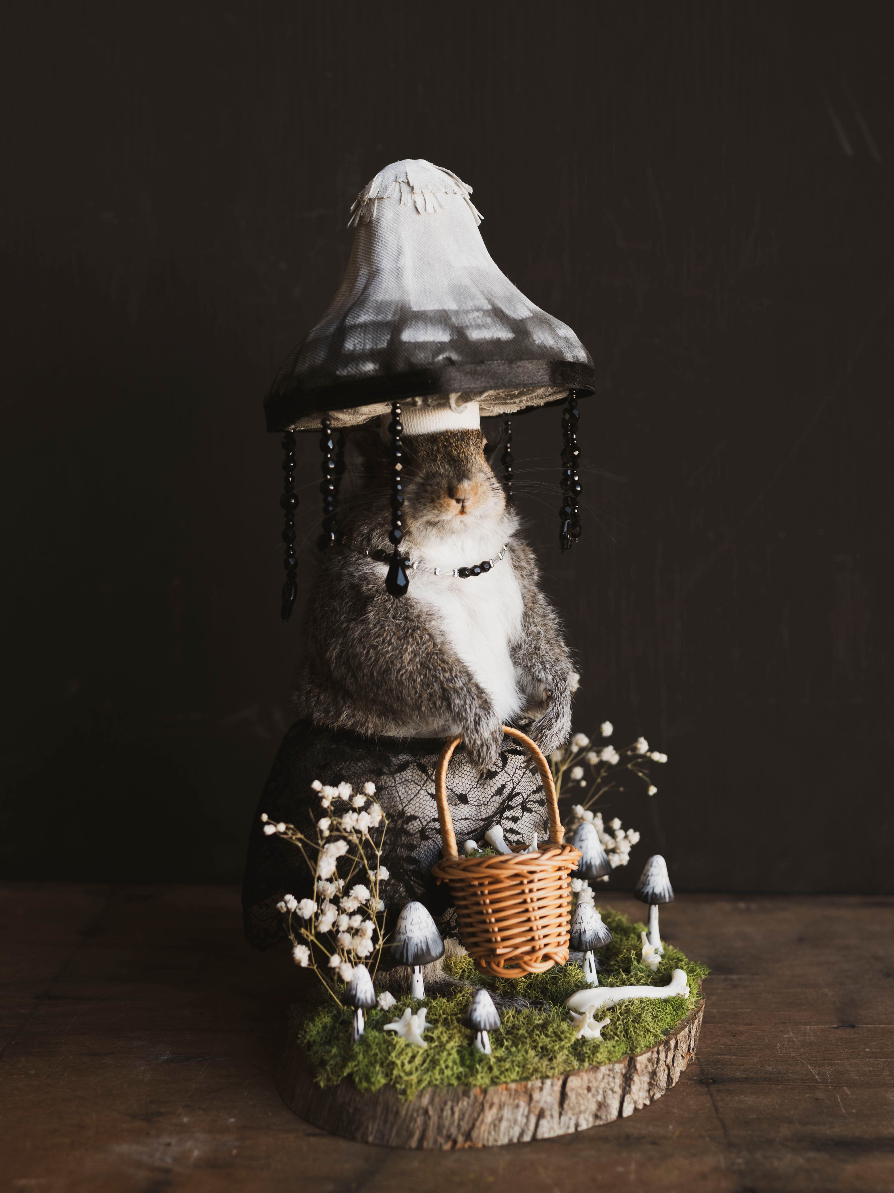 Mushroom Fairy Taxidermy Squirrel (Inka), TA421