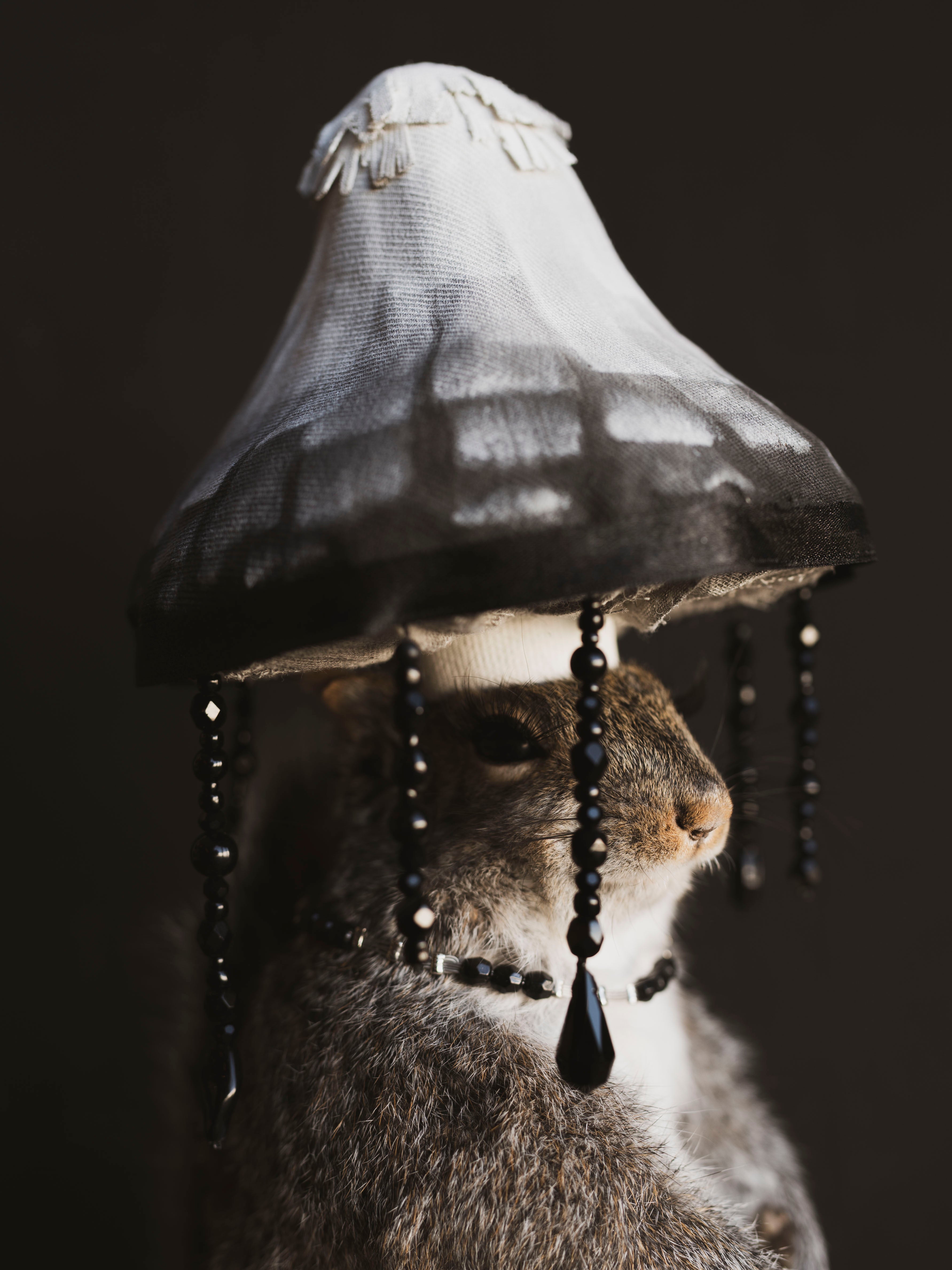 Mushroom Fairy Taxidermy Squirrel (Inka), TA421
