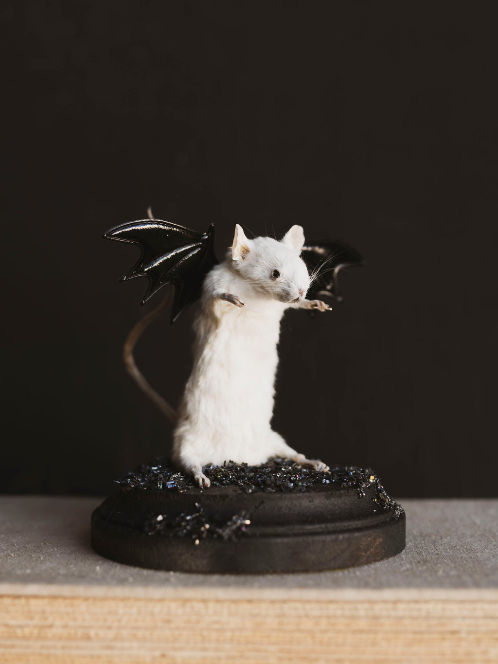 Taxidermy Bat Mouse, TA435