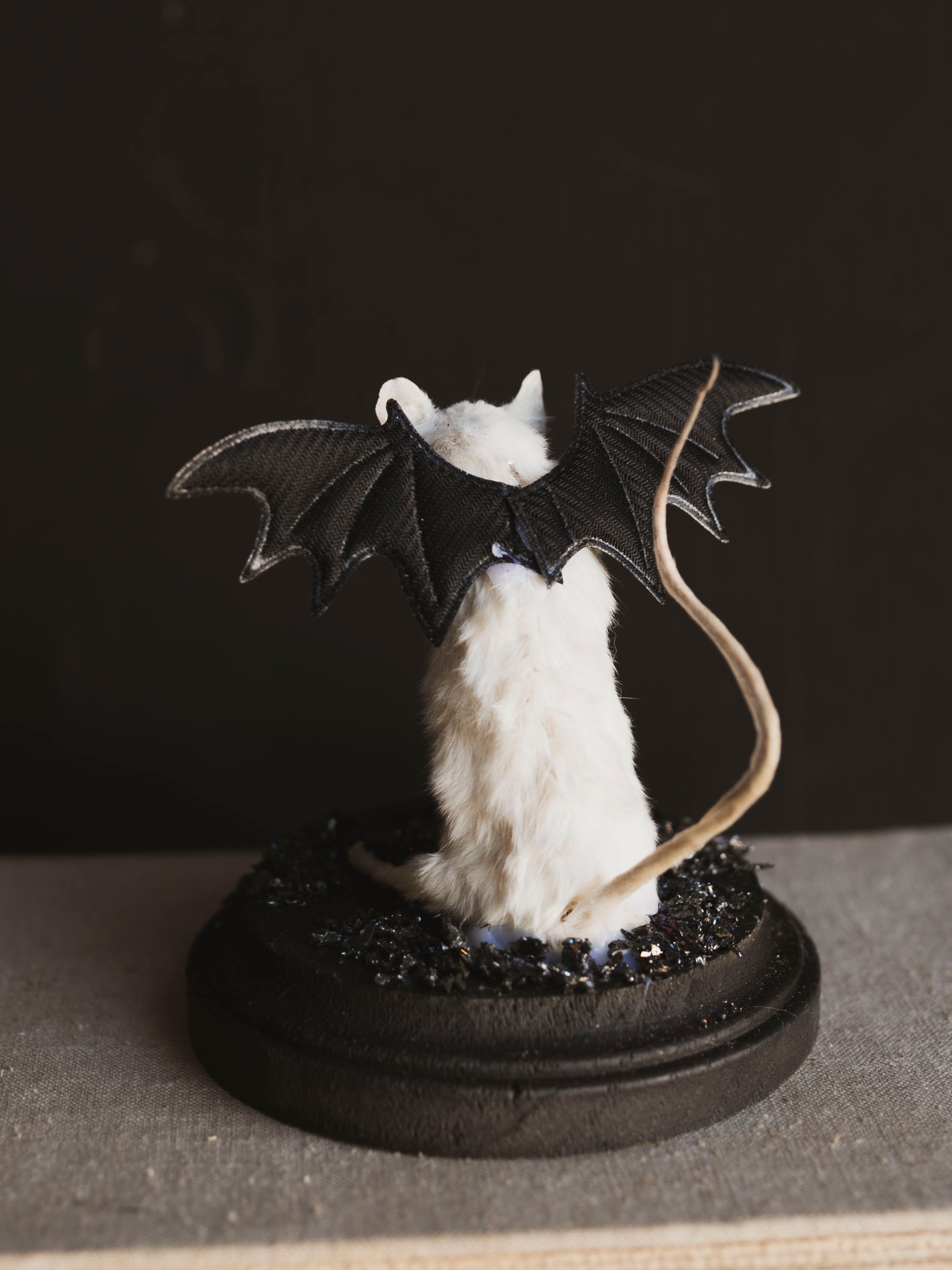 Taxidermy Bat Mouse, TA435