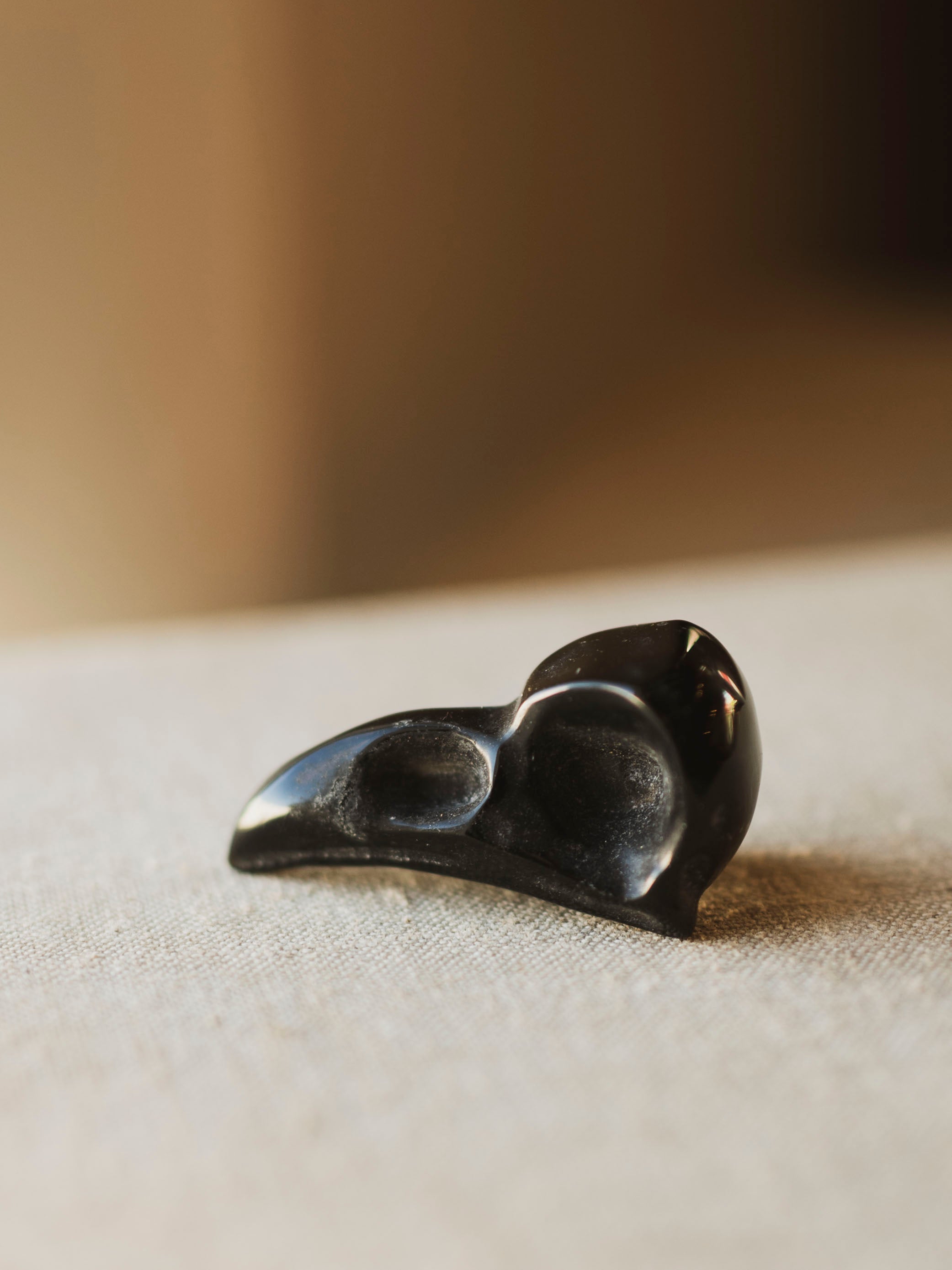 Carved Black Obsidian Raven Skull, RM1338