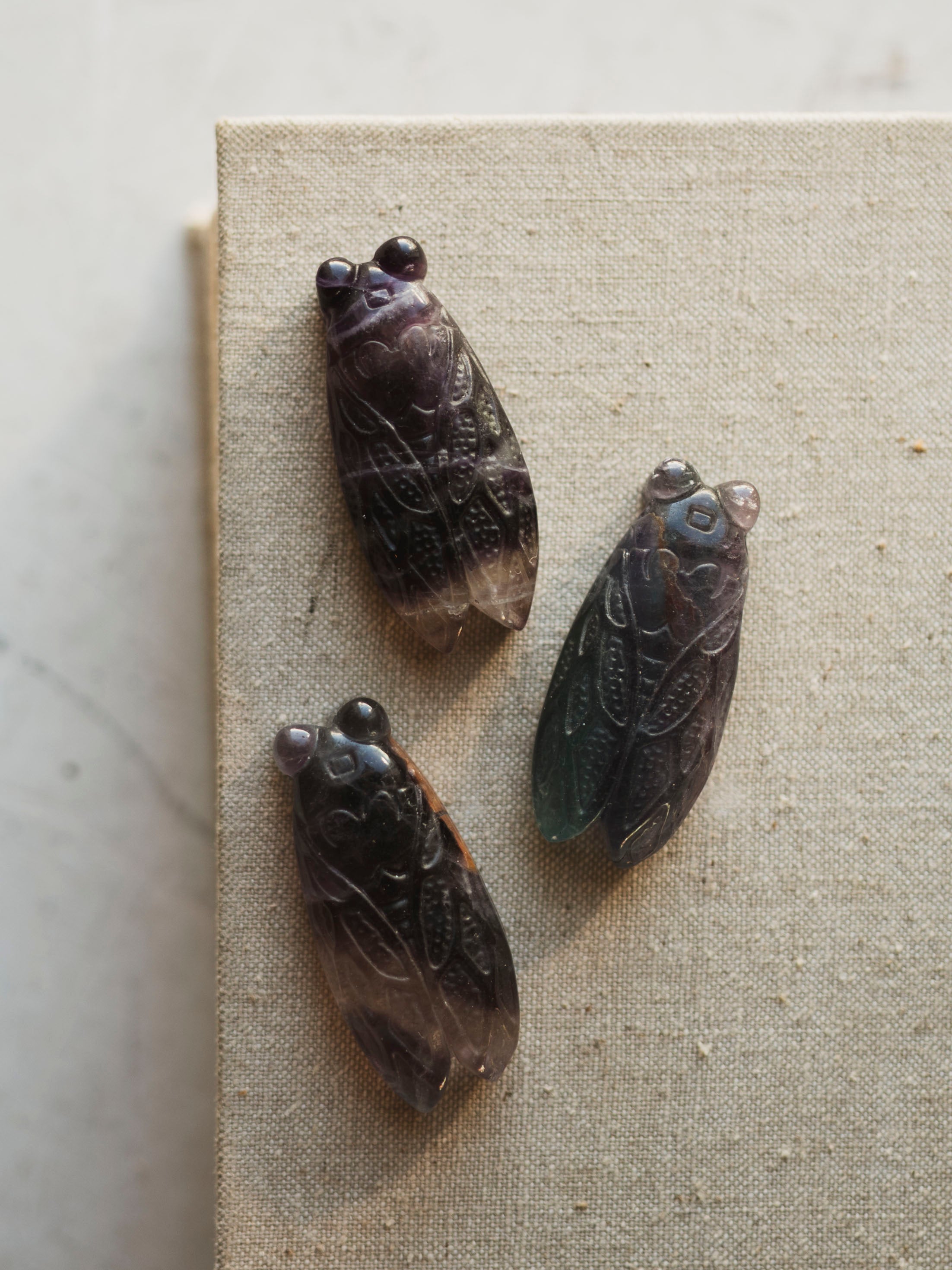 1.5" Carved Rainbow Fluorite Cicada, RM1133