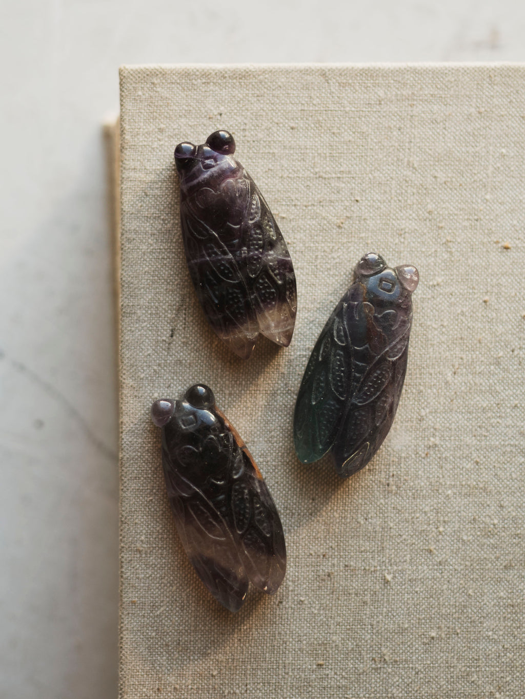 1.5" Carved Rainbow Fluorite Cicada, RM1133