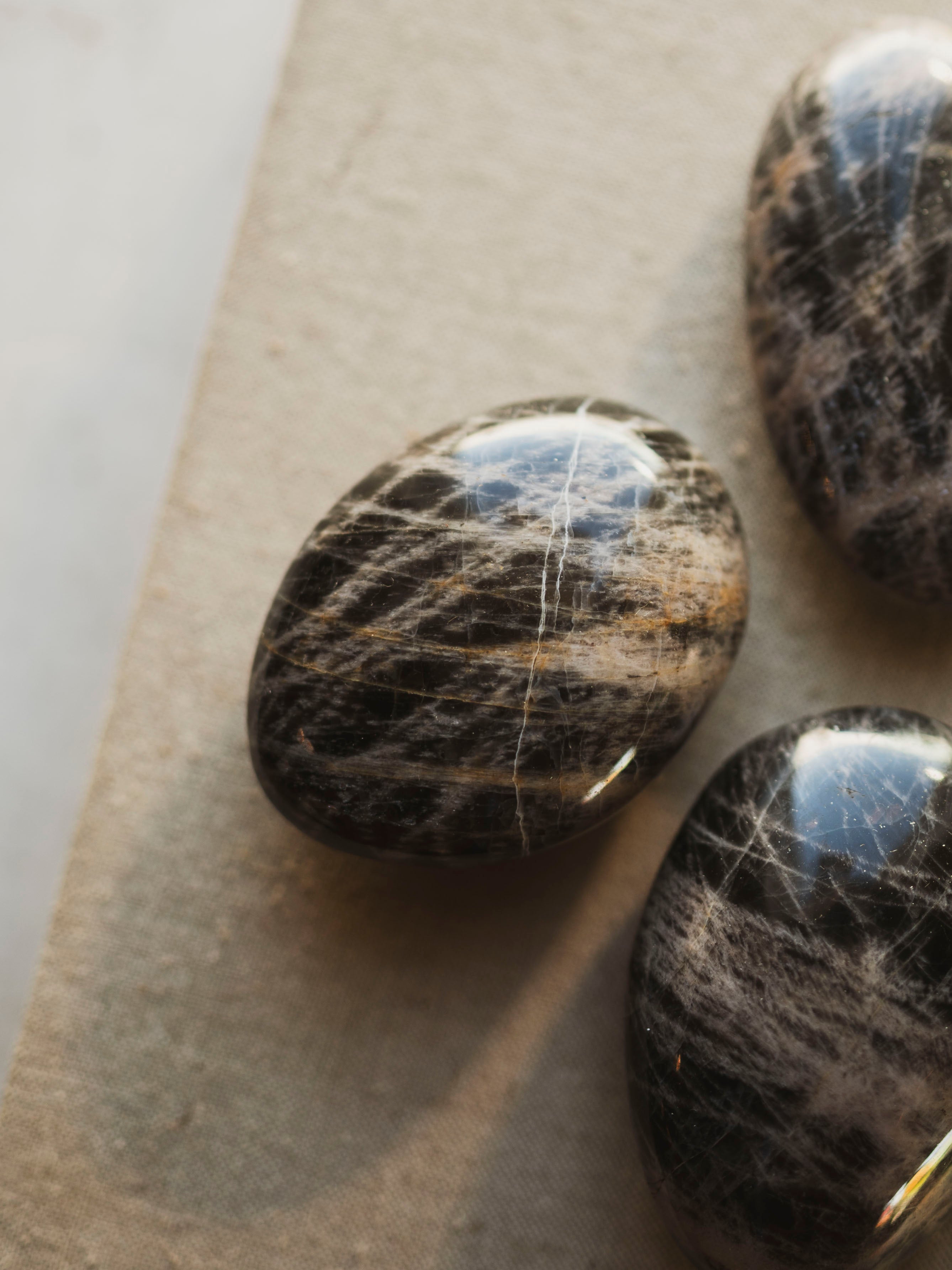 Pelt Rocks Black Moonstone Palmstone, RM88 – Black Moth