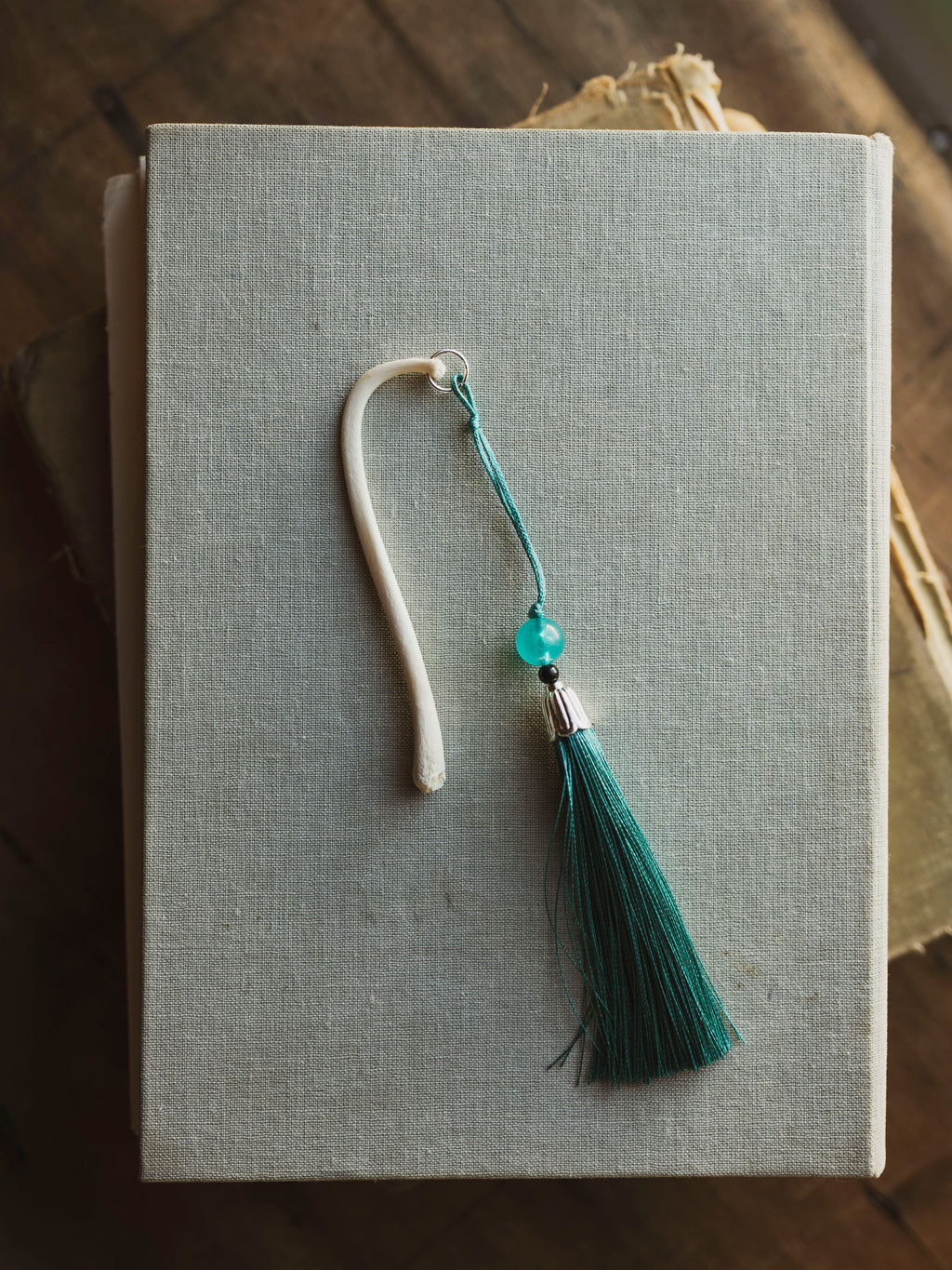 Raccoon Baculum Bookmark, HD347