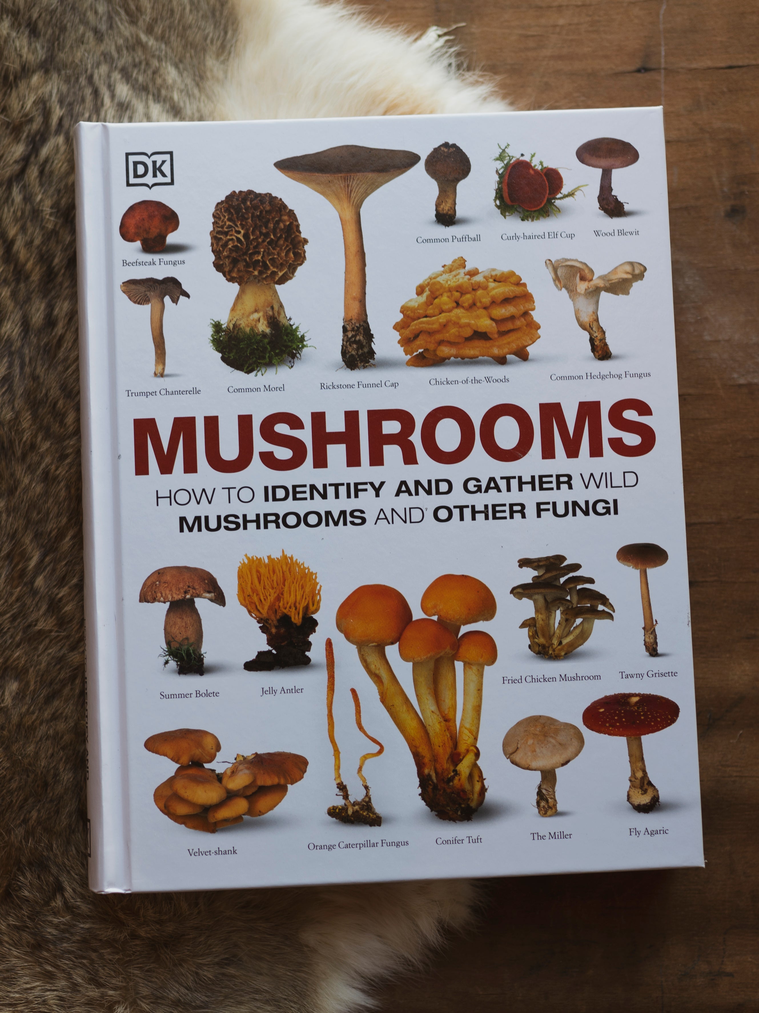 Mushrooms: How to Identify and Gather Wild Mushrooms and Other Fungi, BO163