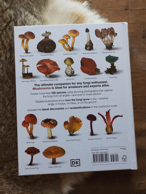 Mushrooms: How to Identify and Gather Wild Mushrooms and Other Fungi, BO163