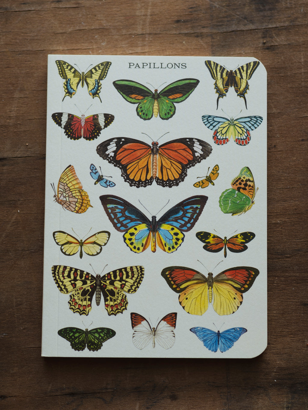 Graph Paper Mini Papillons Notebook, ST0119