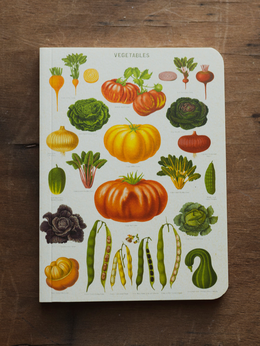 Blank Paper Mini Vegetable Notebook, ST084