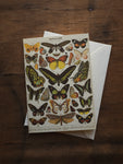 Papillons Greeting Card, ST038