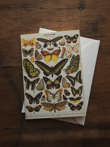 Papillons Greeting Card, ST038