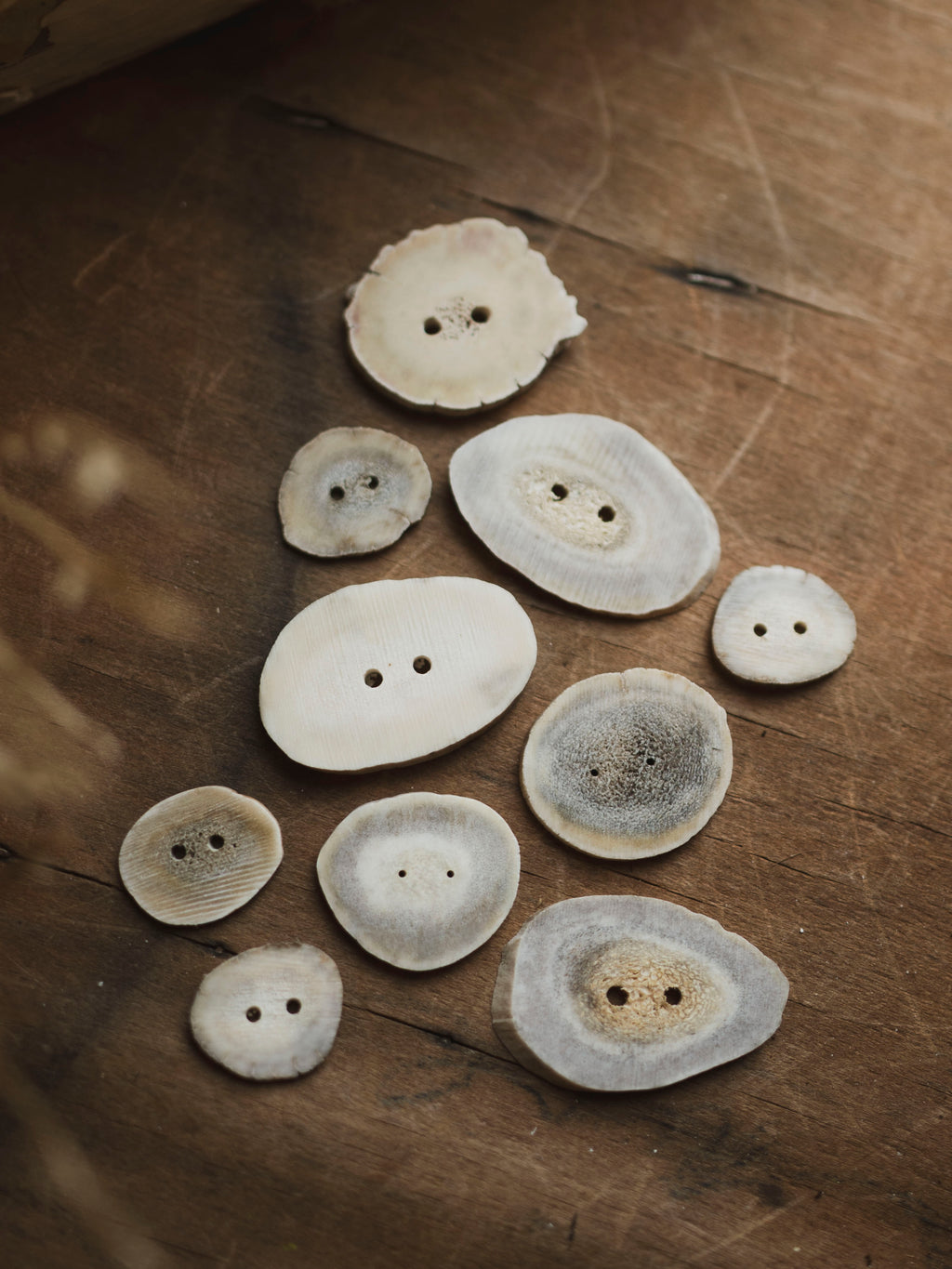 Deer Antler Slice Button, SB311