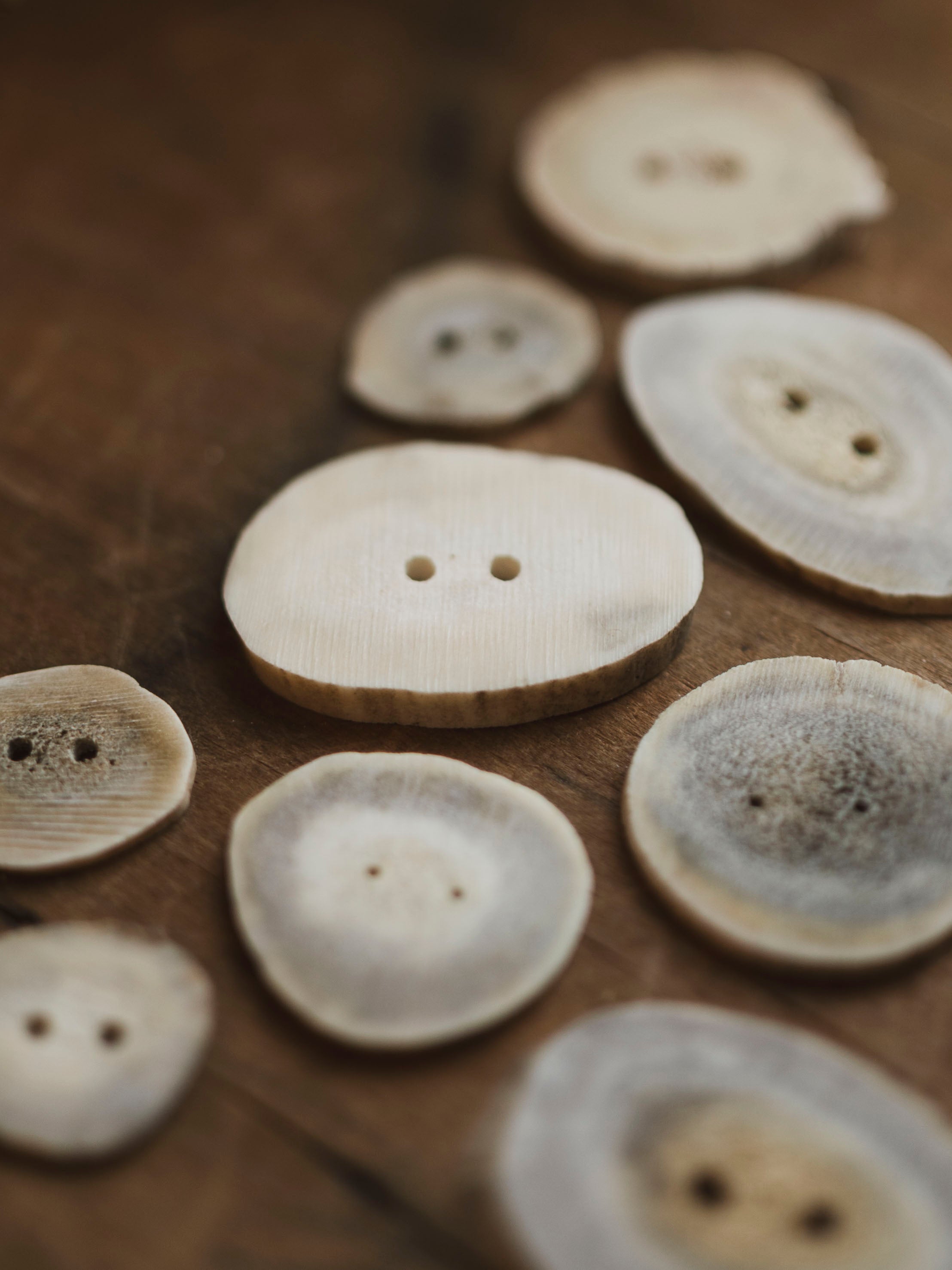 Deer Antler Slice Button, SB311