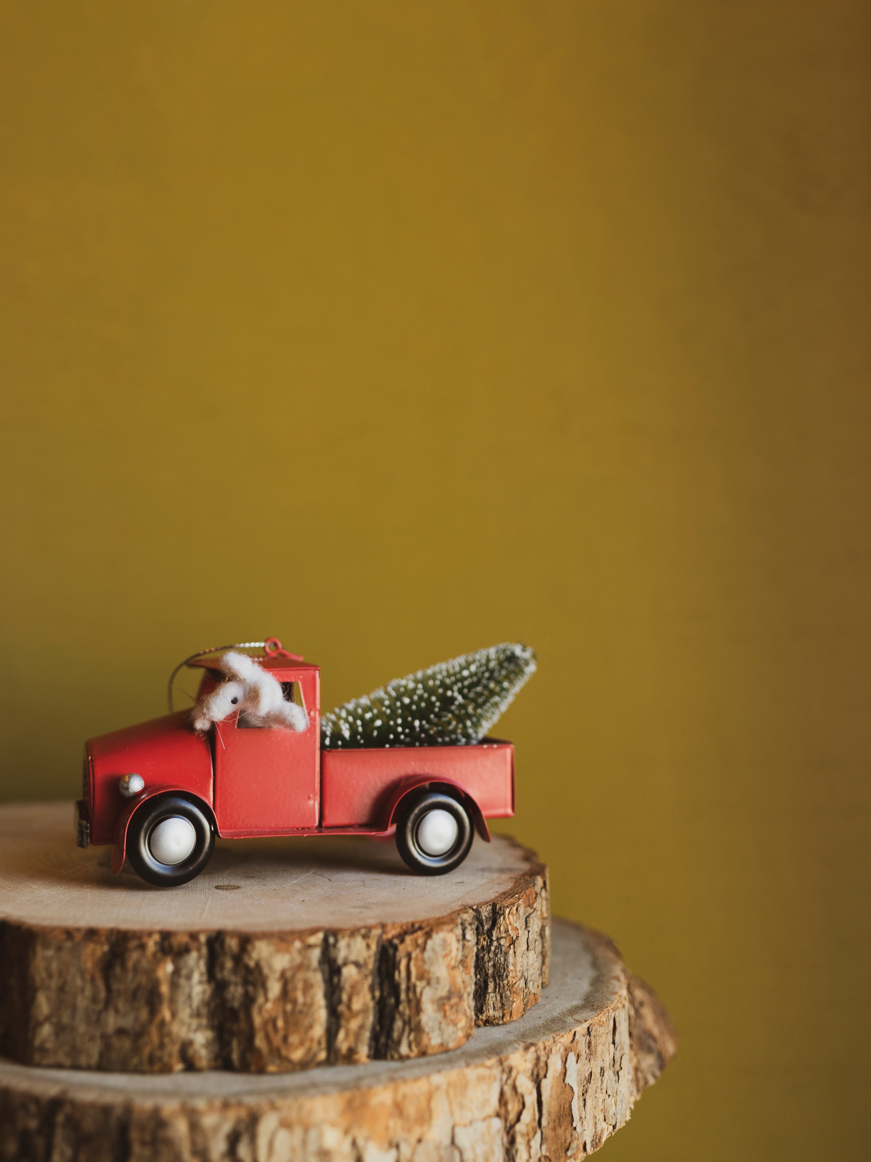 Handfelted Mouse in Red Truck, CO23