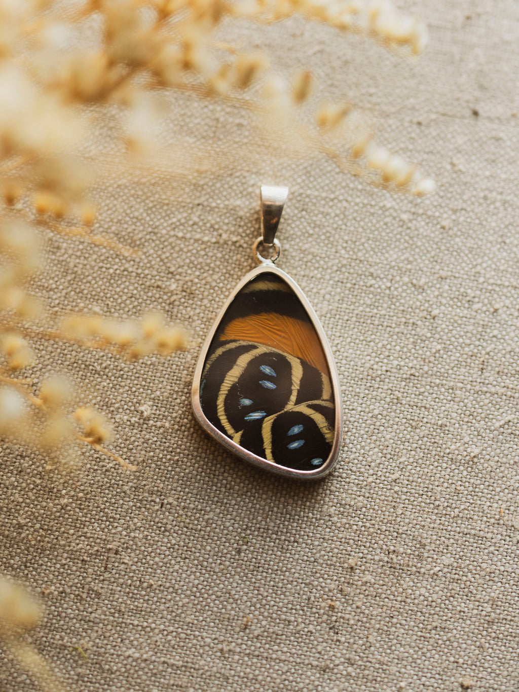 1" Speckled Numberwing Butterfly Wing Pendant, CA1418