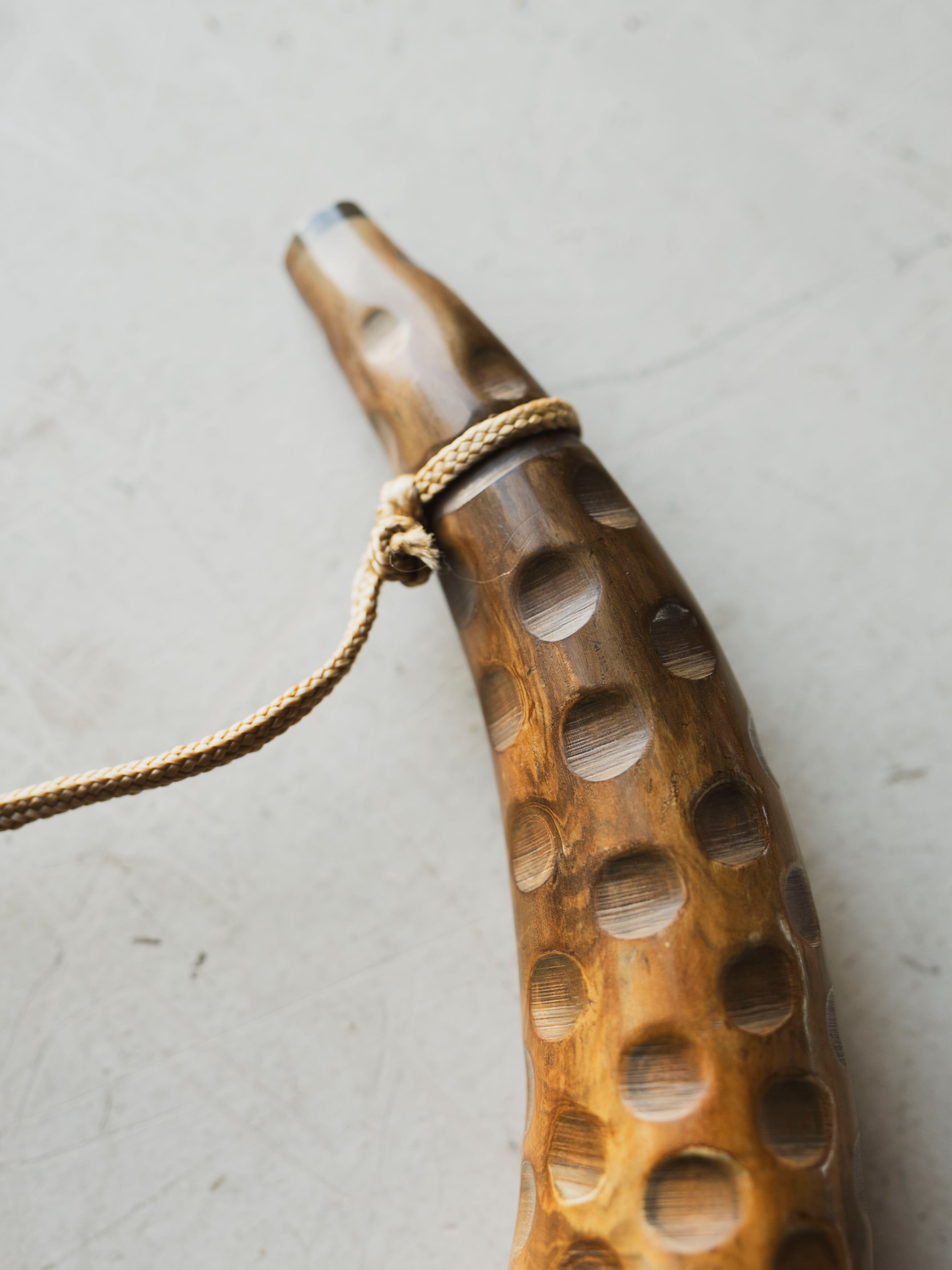 Indian Water Buffalo Blowing Horn with Paracord, HD612