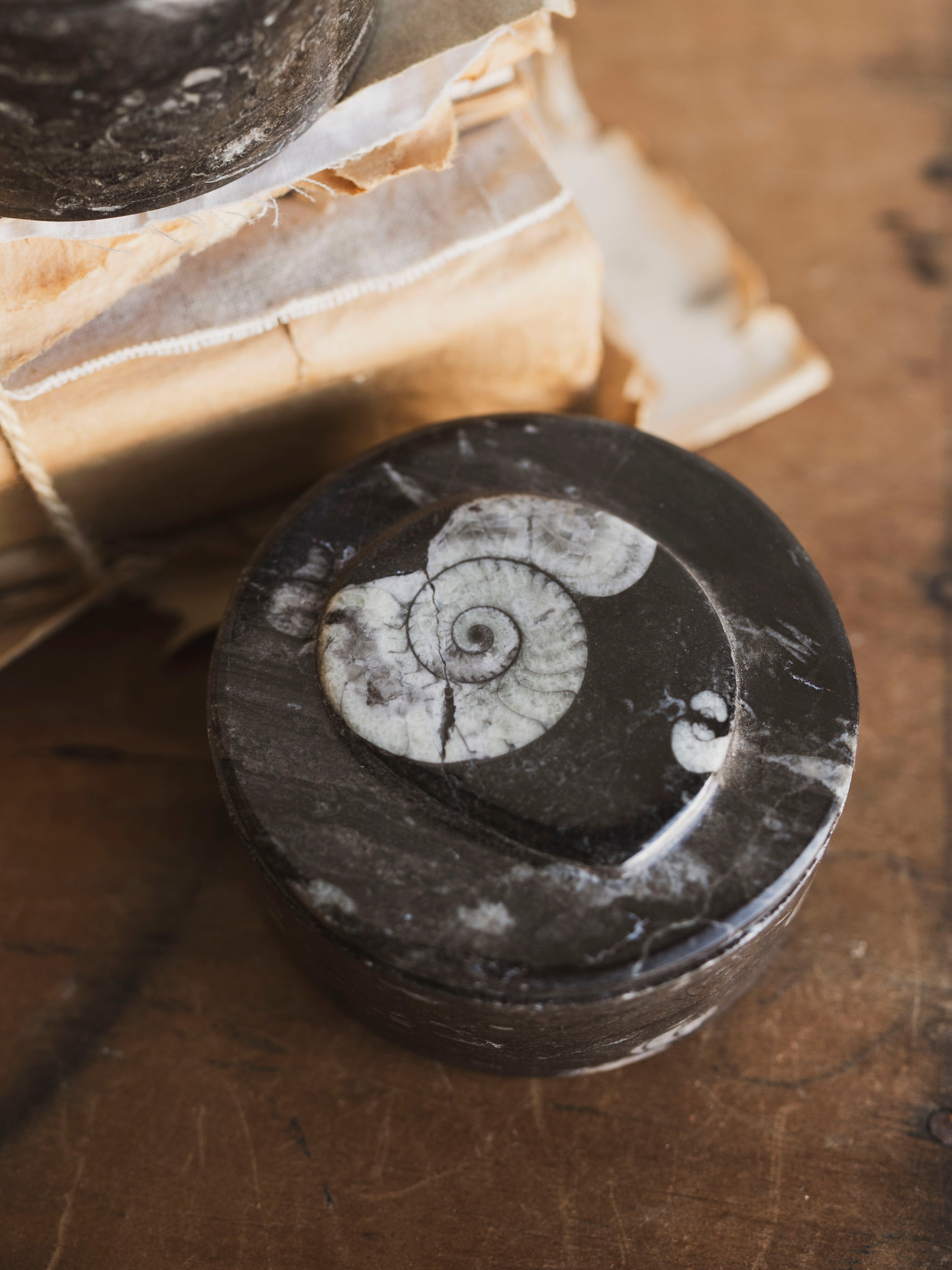 Round Fossilized Goniatite Box, RM137