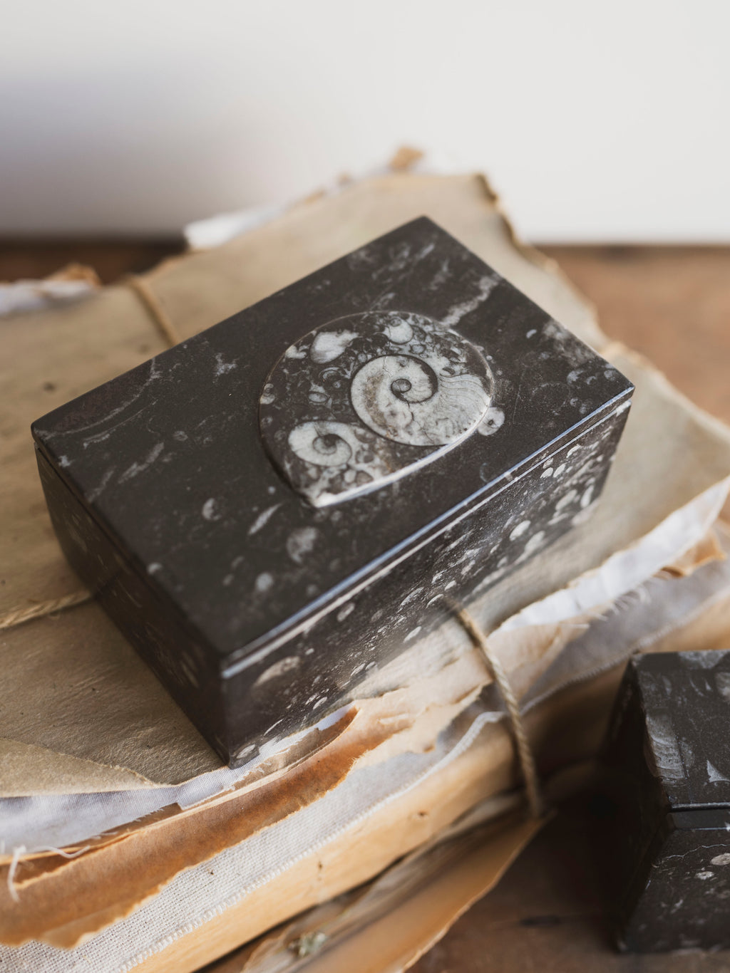 Rectangular Fossilized Goniatite Box, RM139