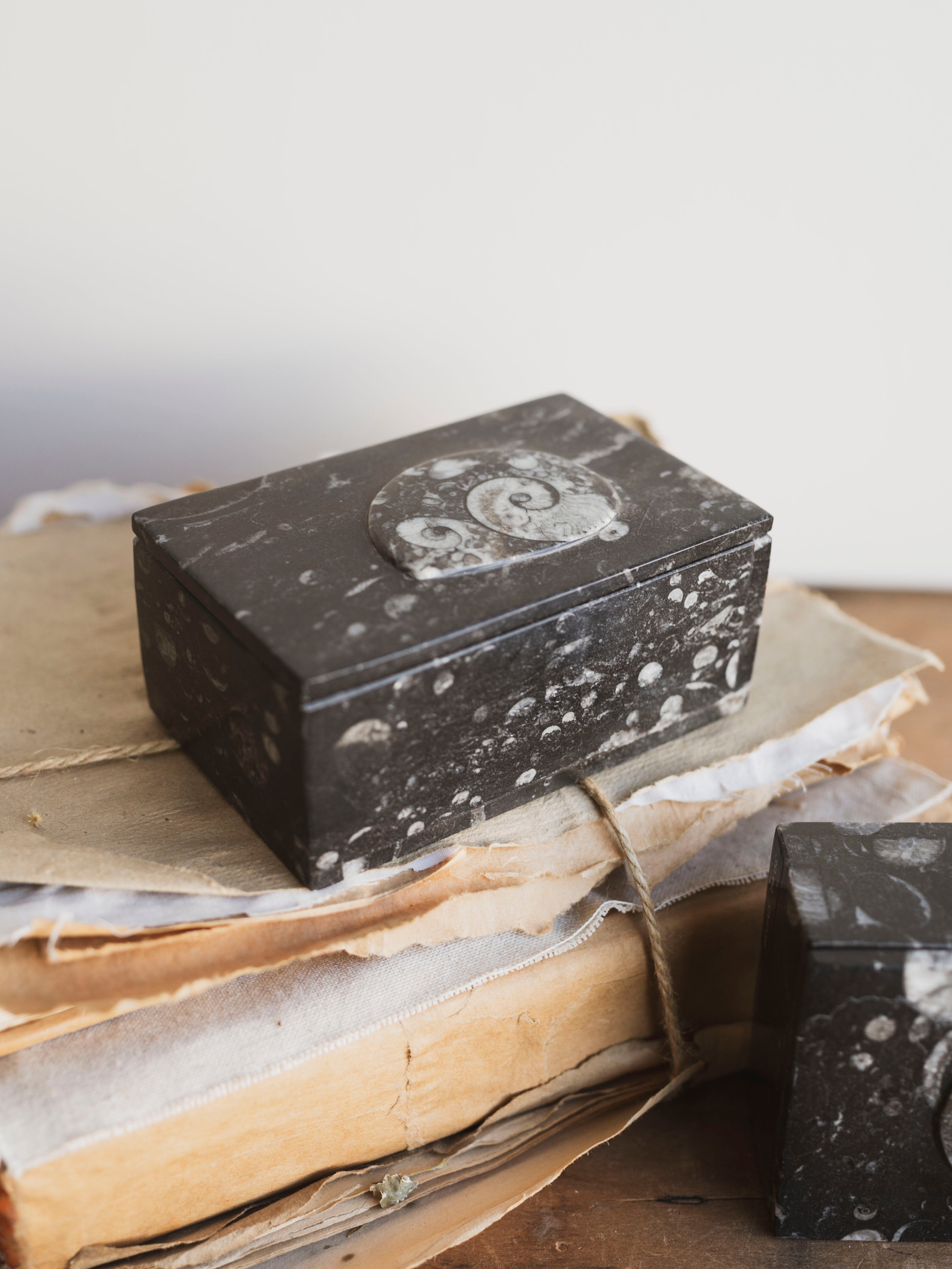 Rectangular Fossilized Goniatite Box, RM139