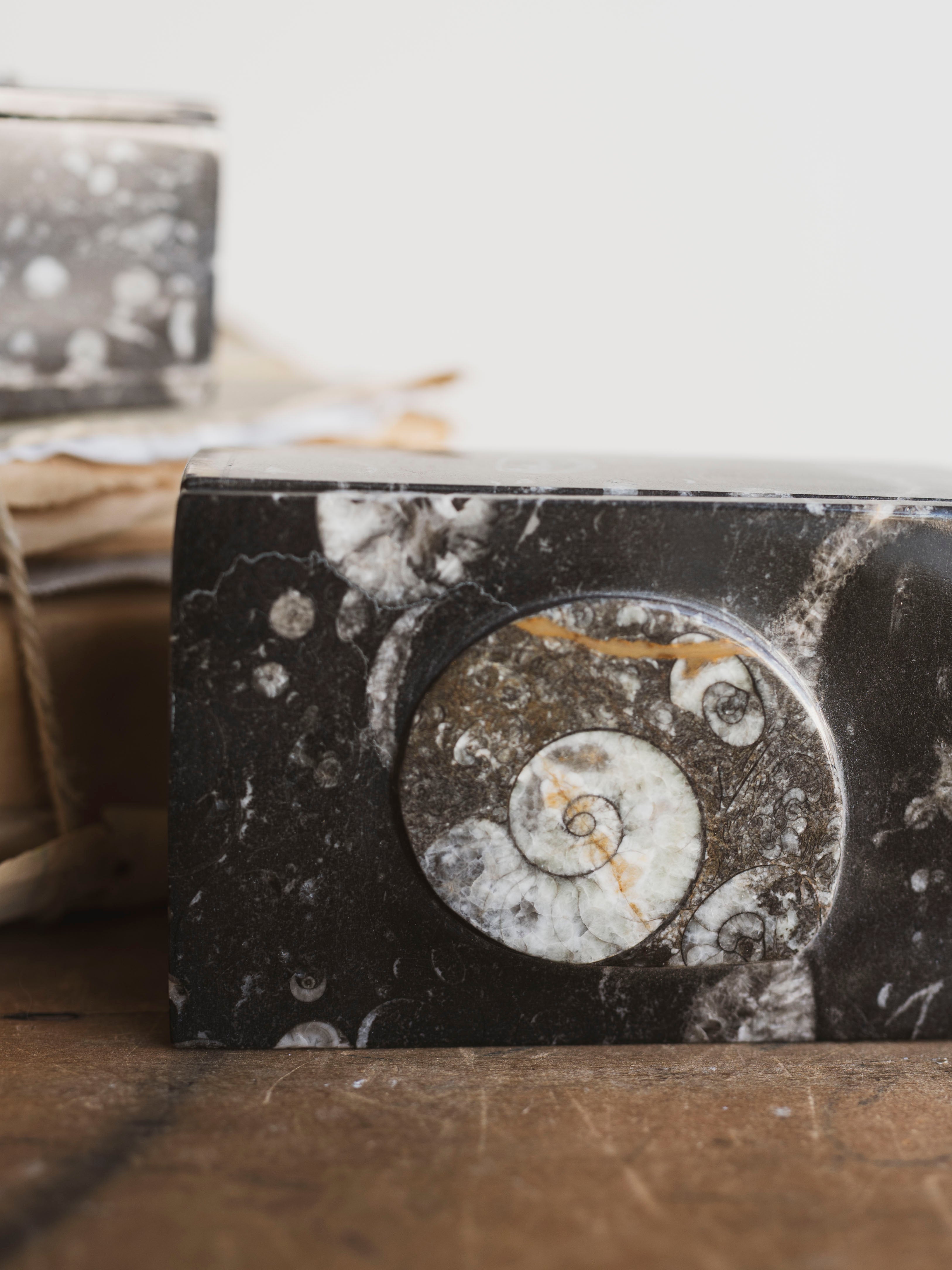 Rectangular Fossilized Goniatite Box, RM139