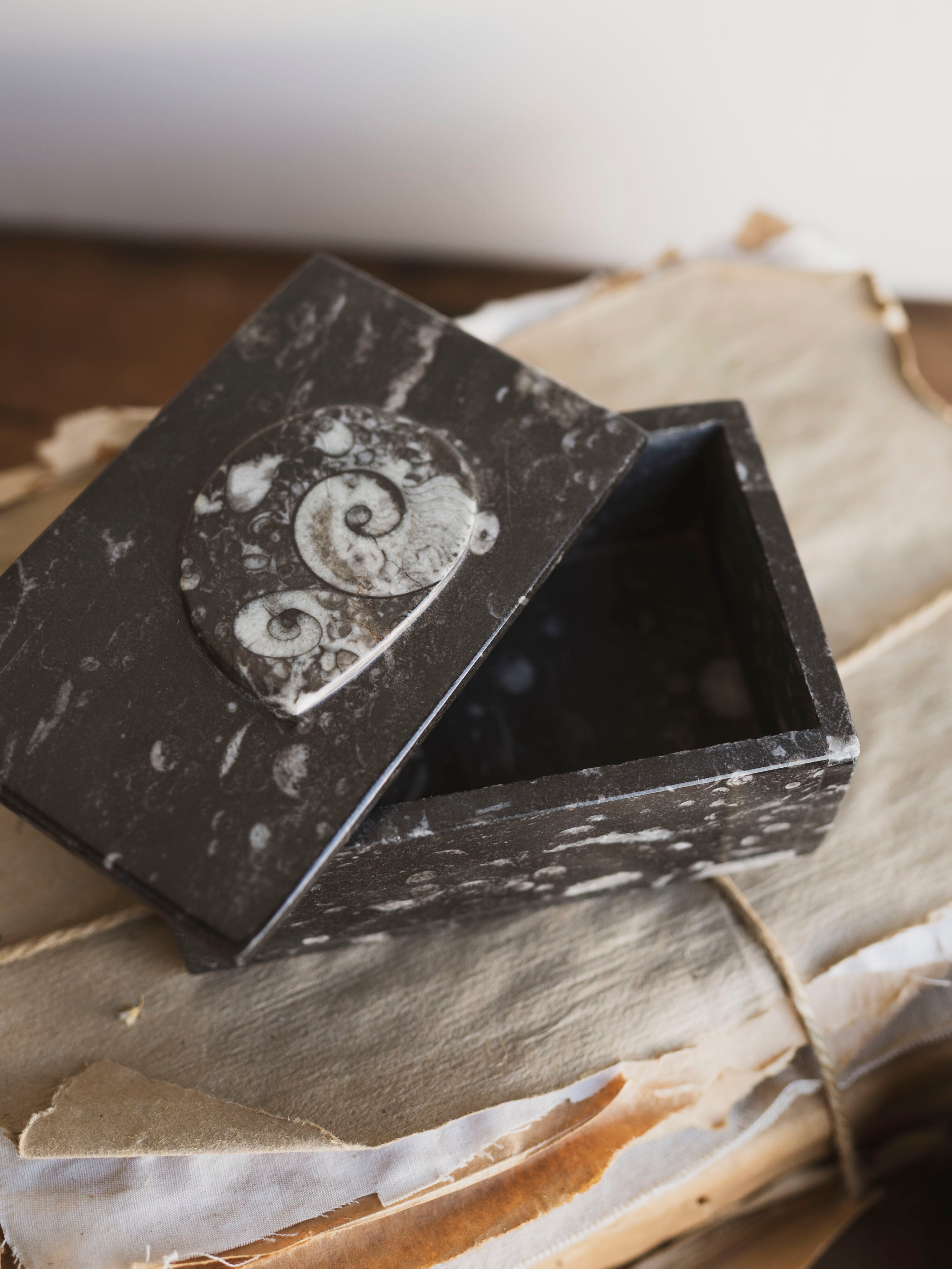 Rectangular Fossilized Goniatite Box, RM139